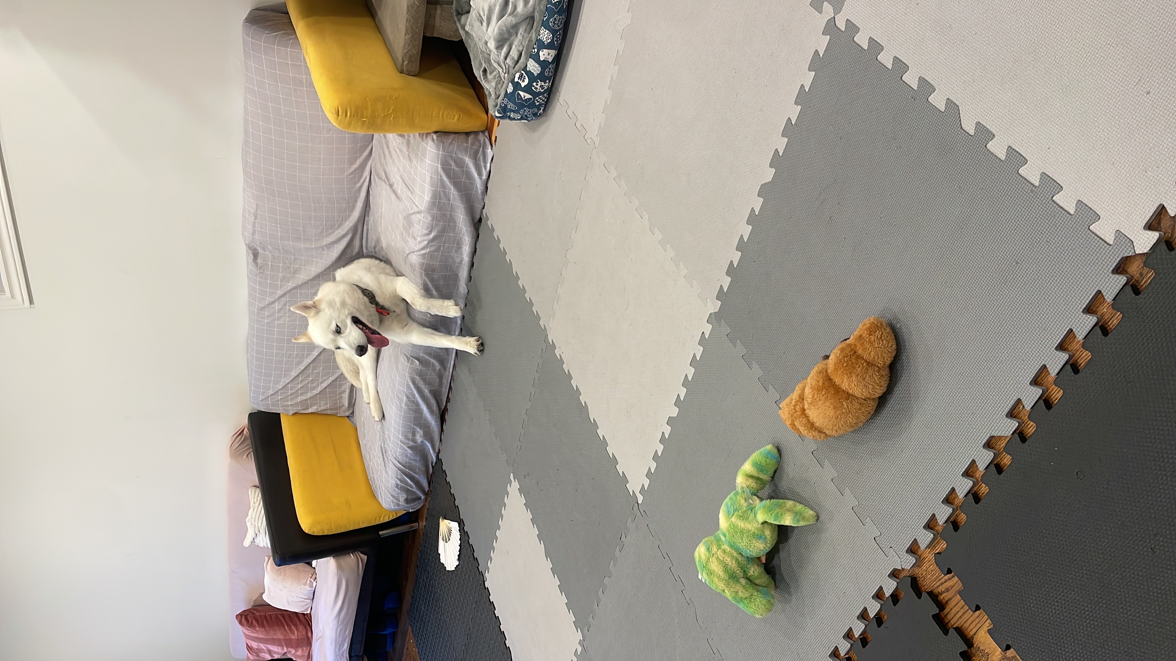 image-18