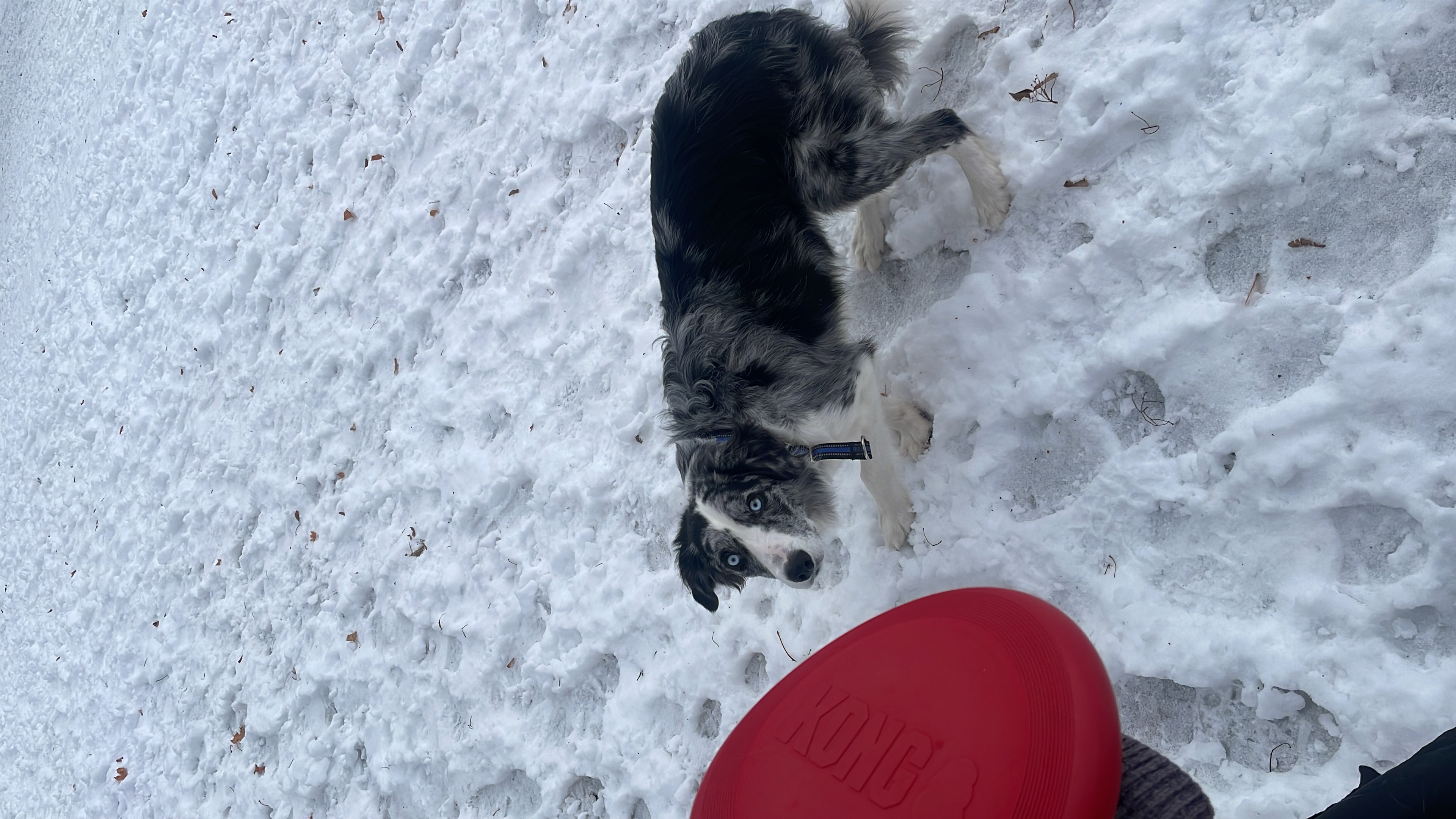 image-4