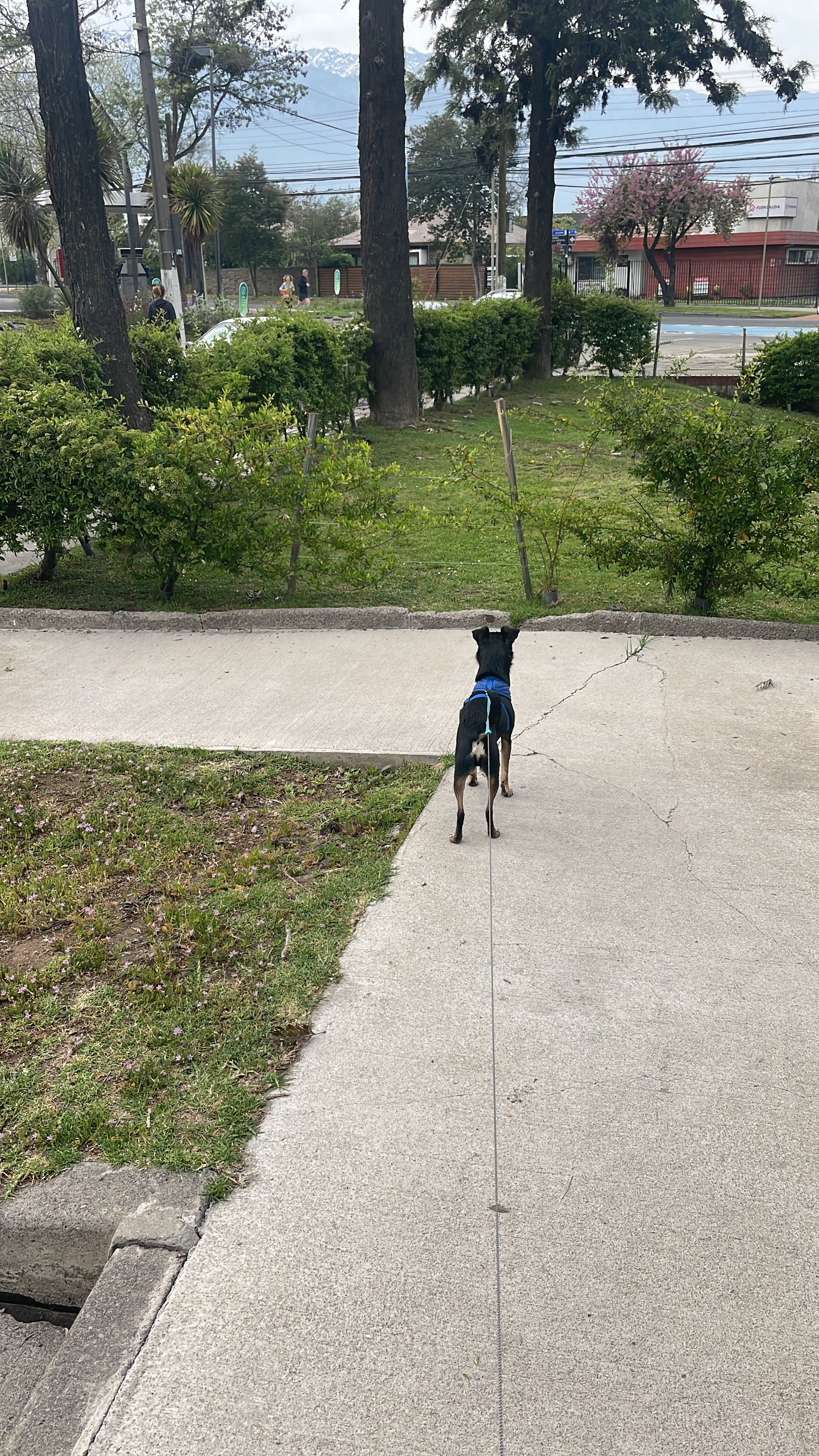 image-16