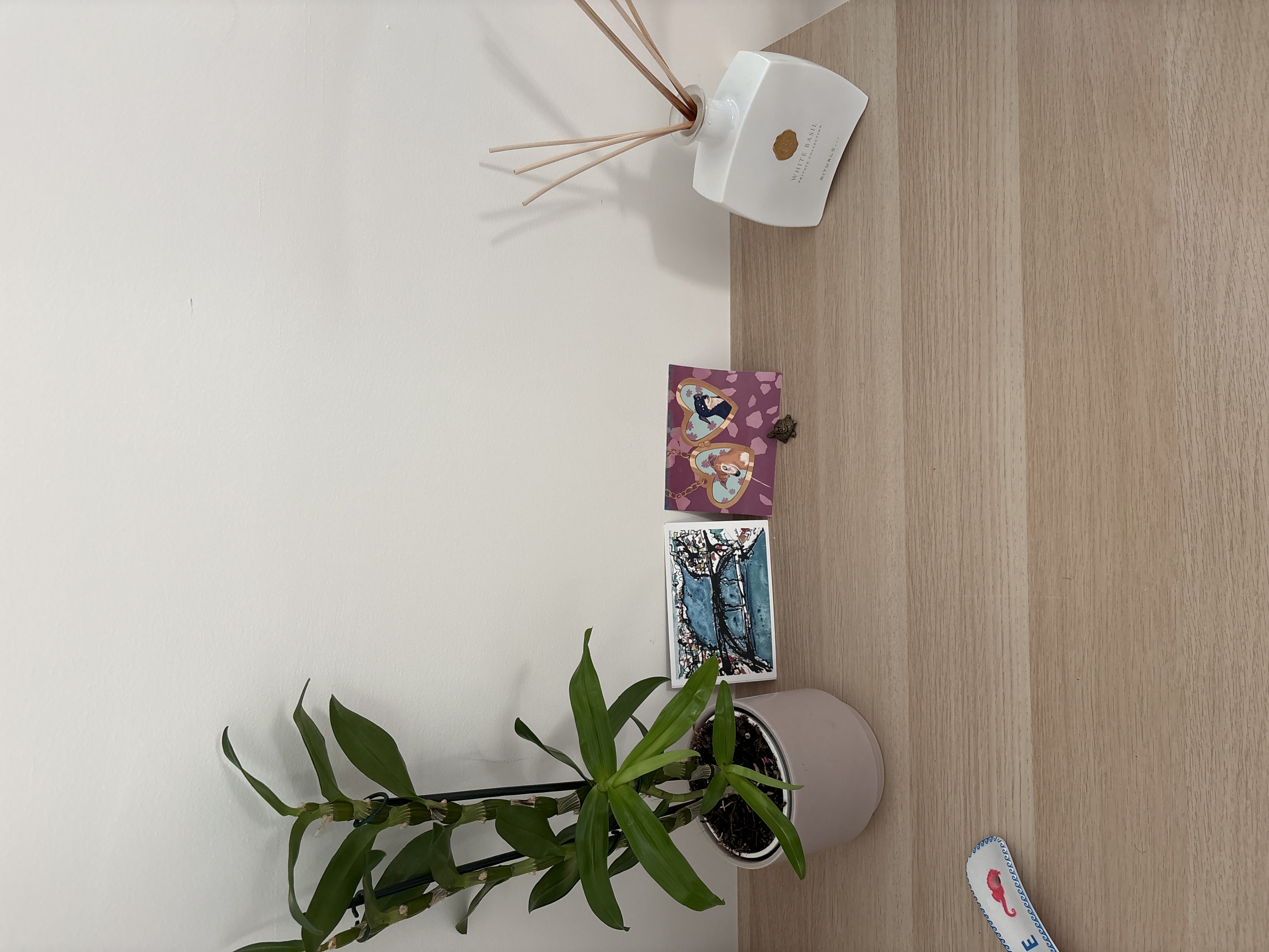 image-19