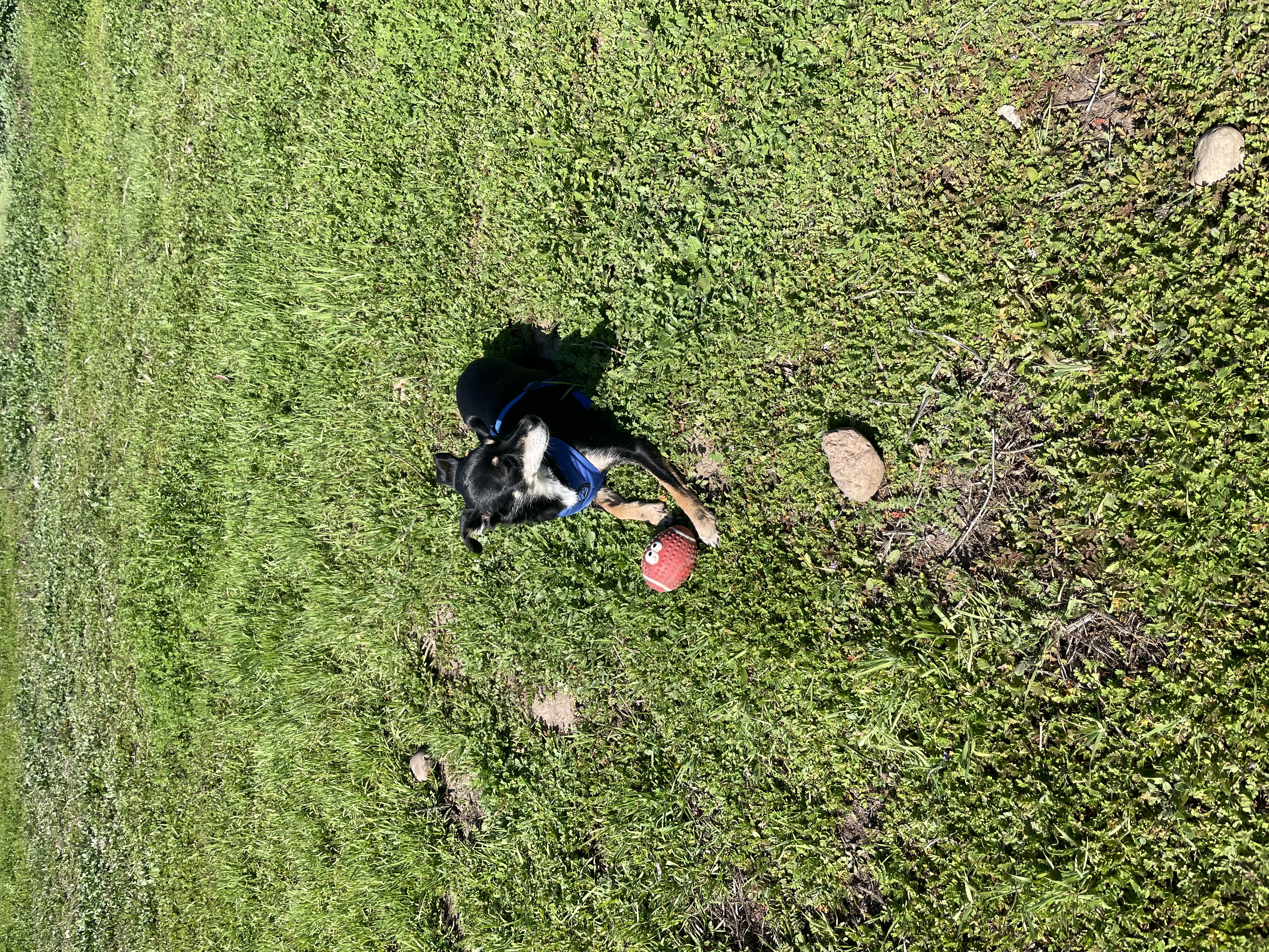 image-12