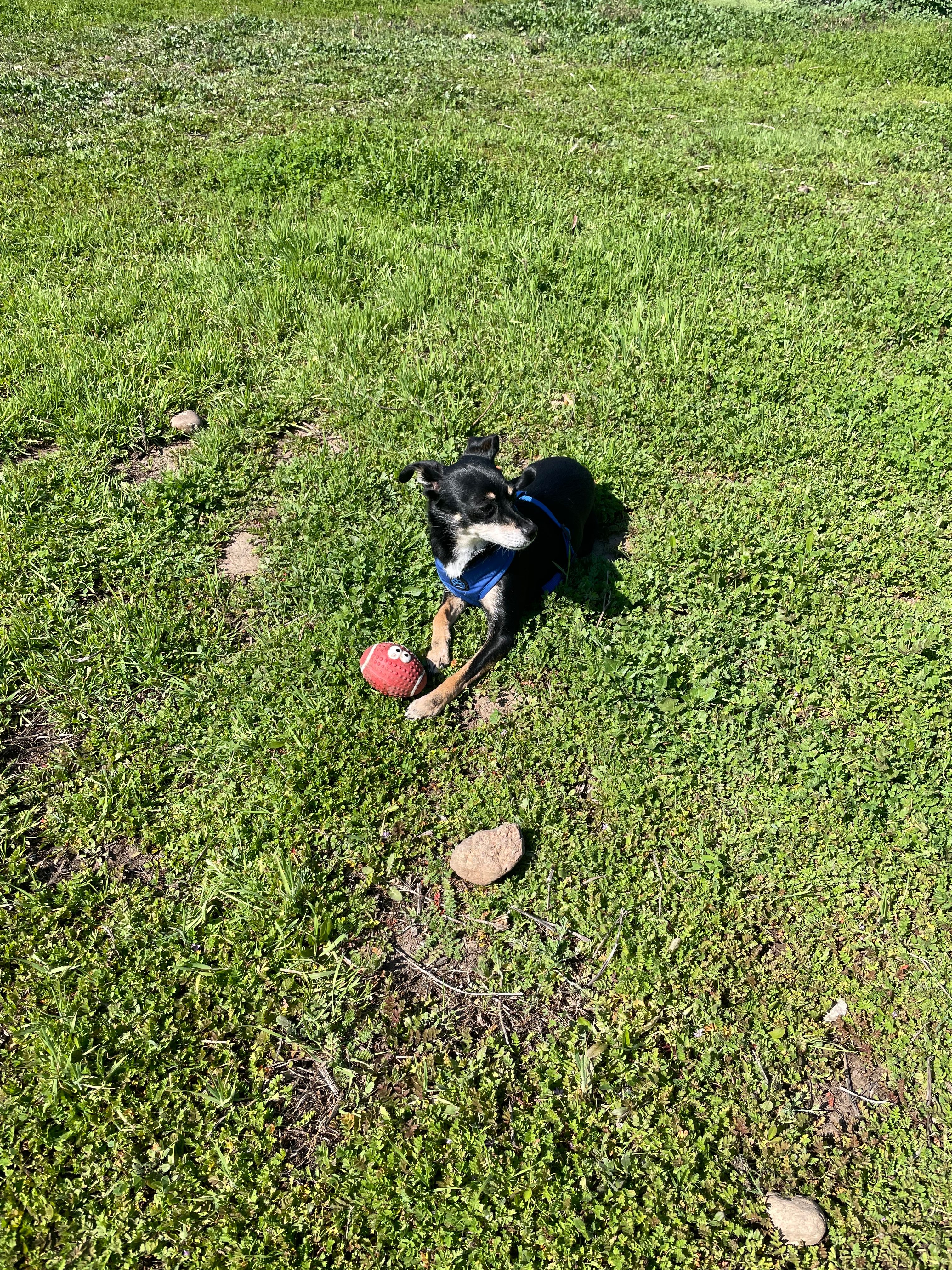 image-12