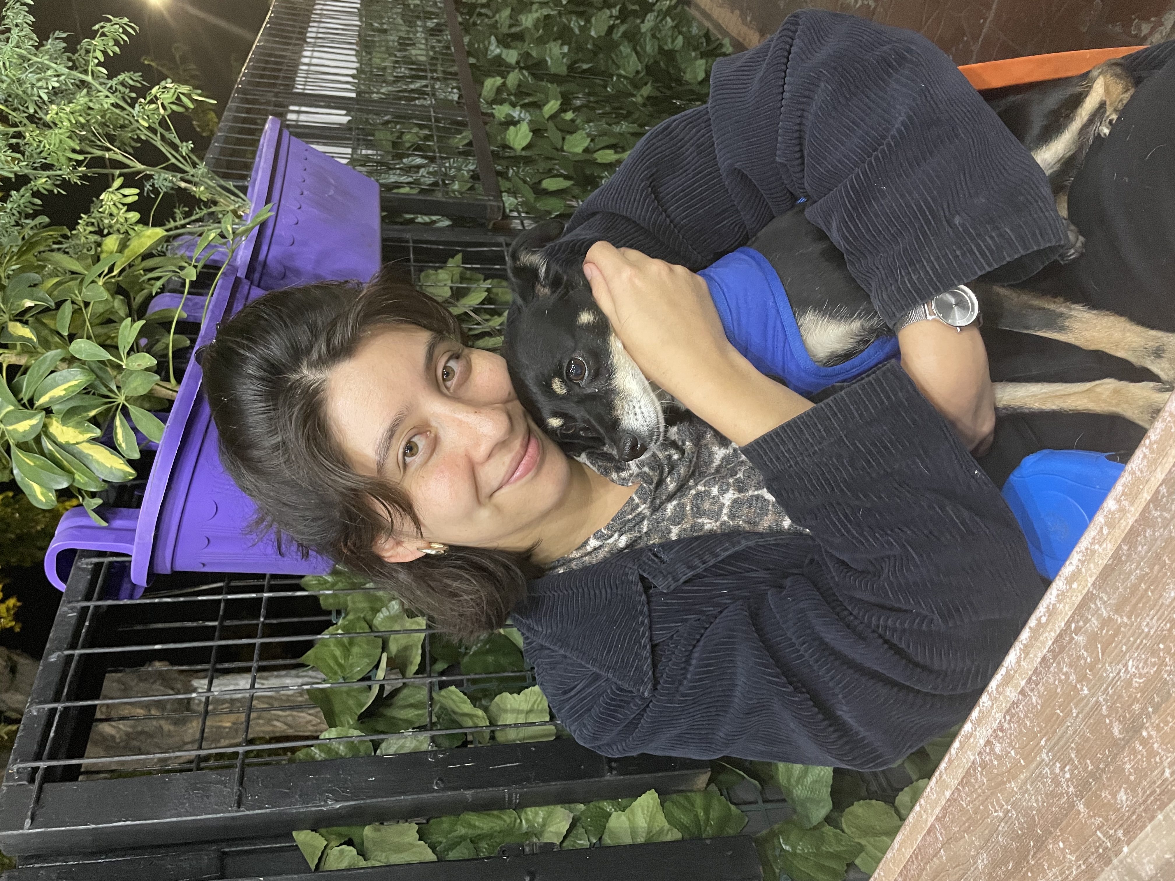 image-3