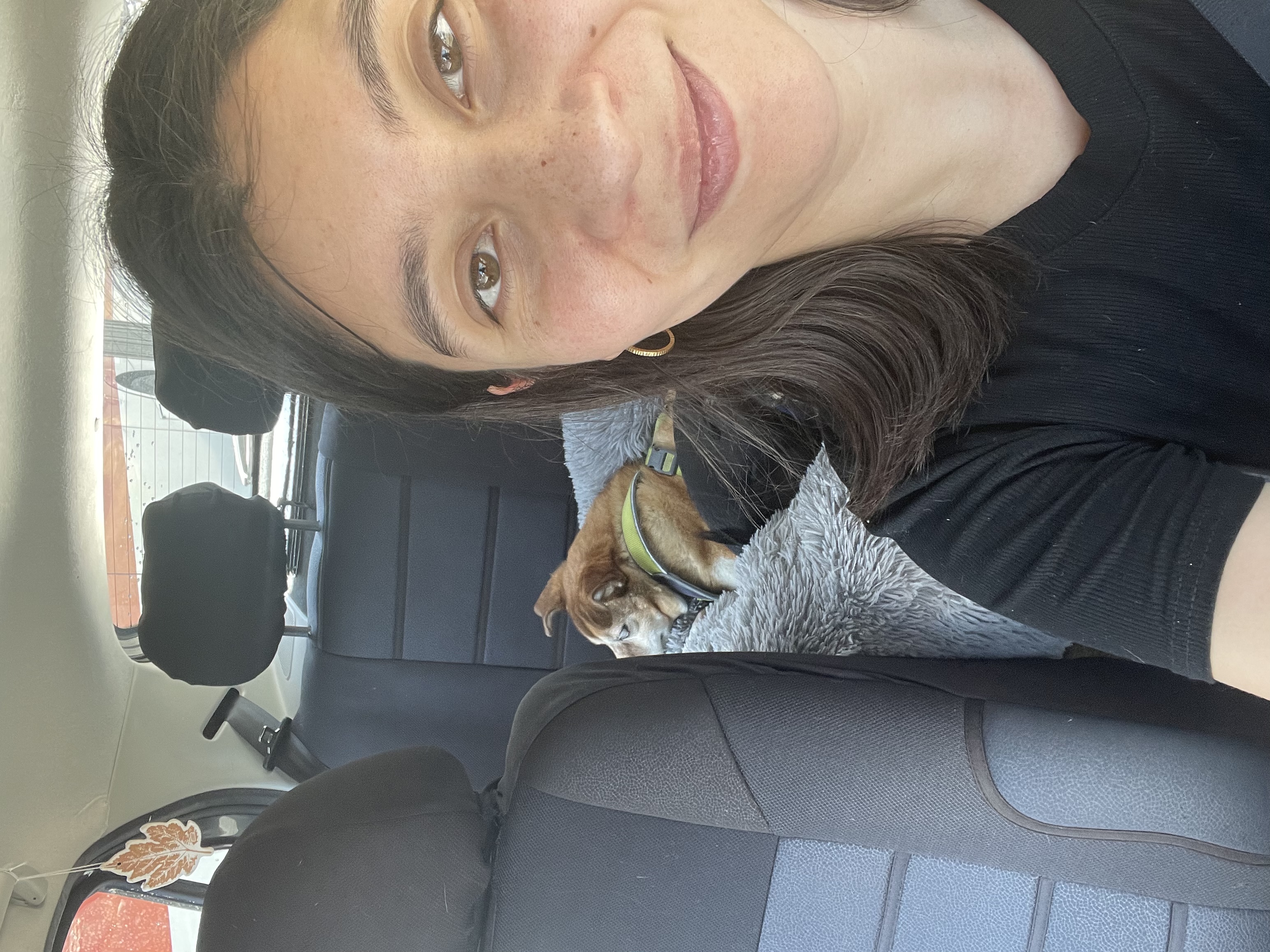 image-4