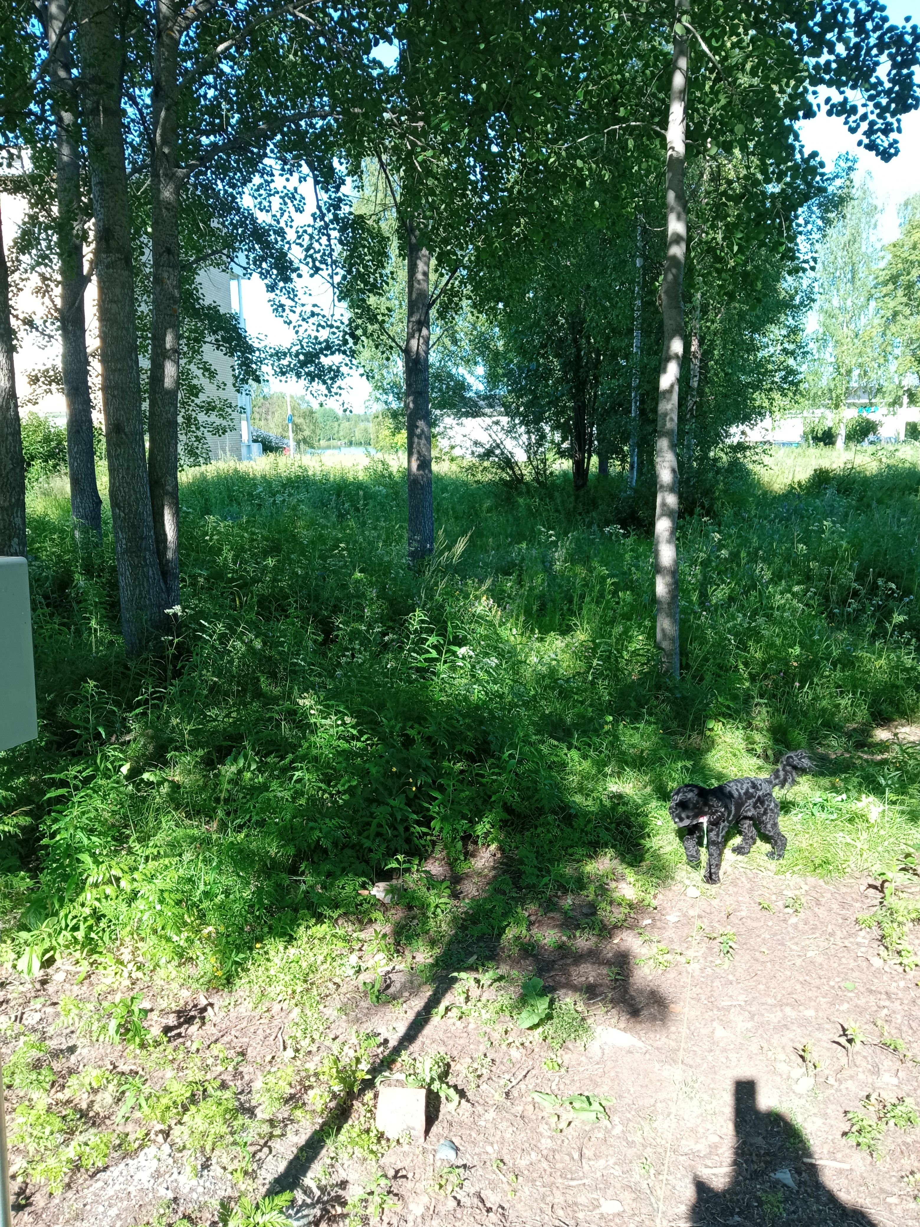 image-10