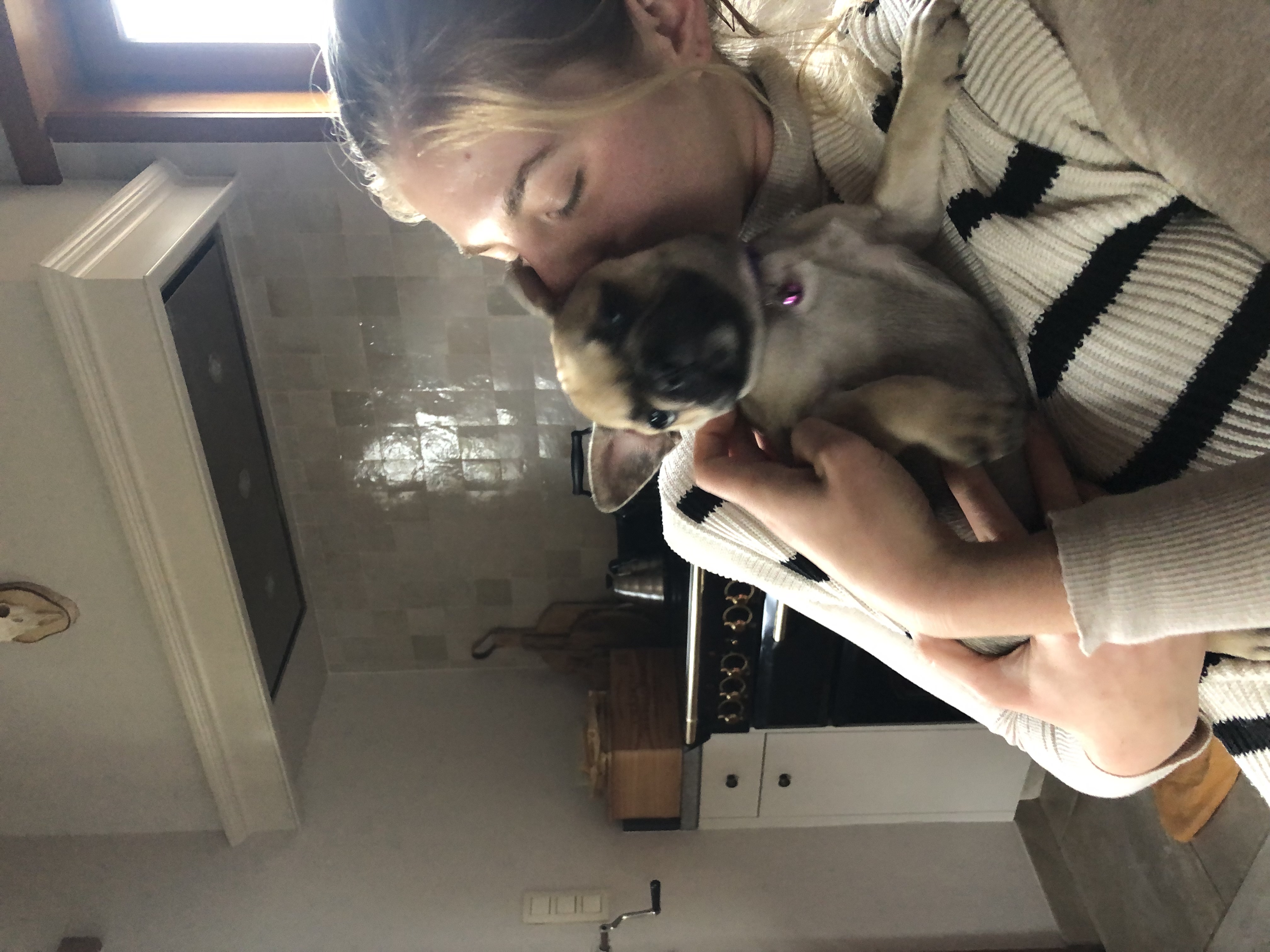 image-7
