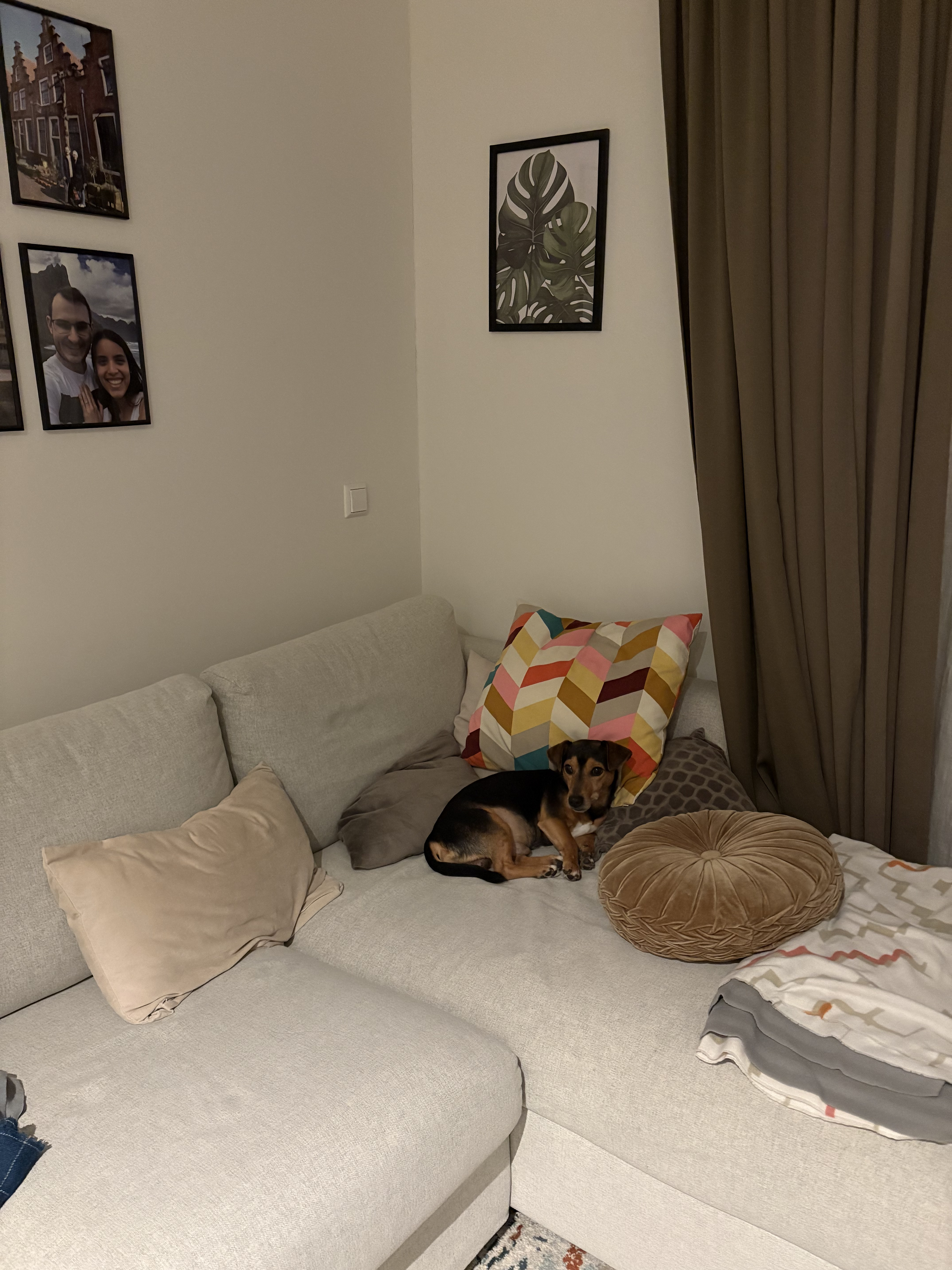 image-5