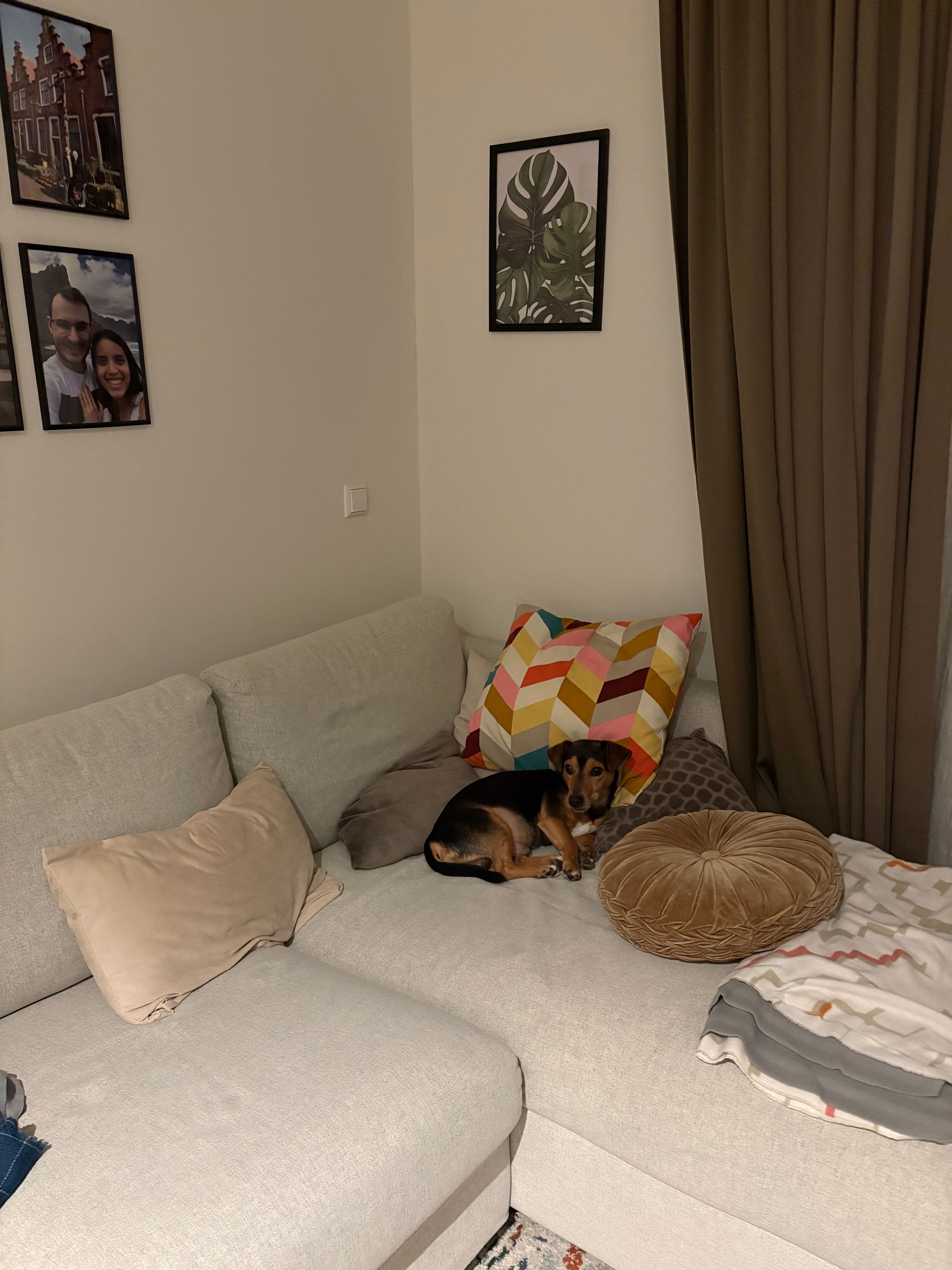 image-5