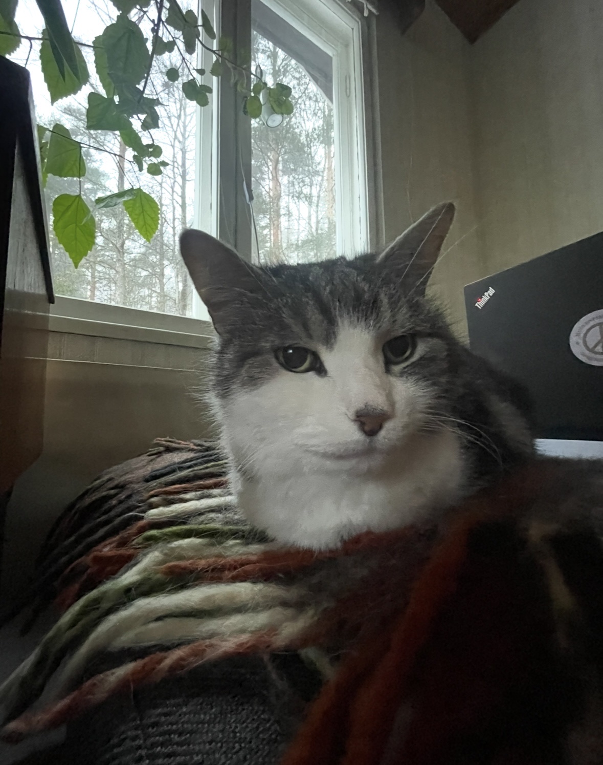 image-10
