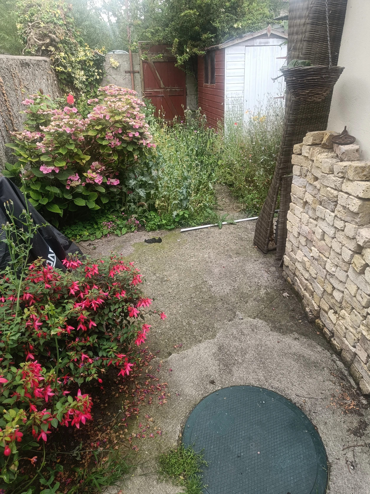 image-6