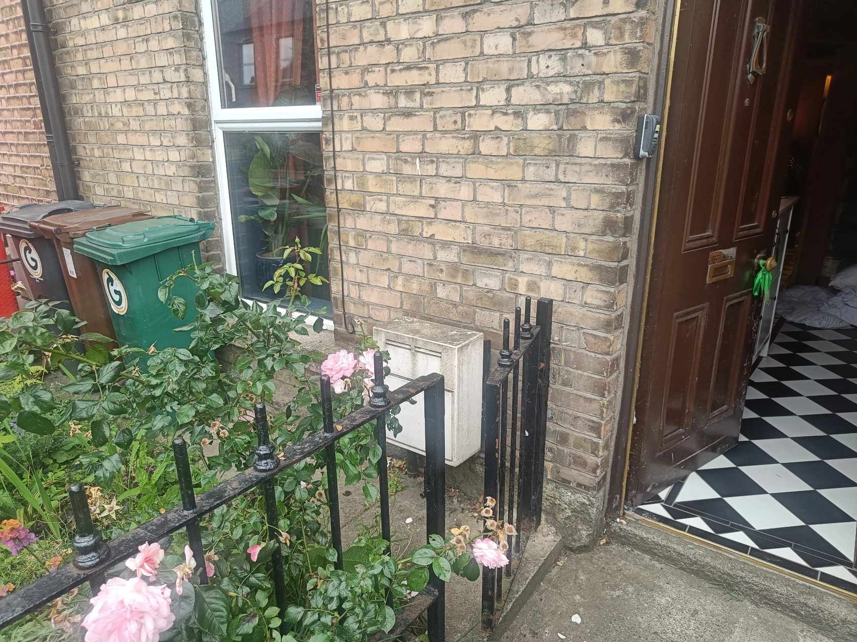 image-7