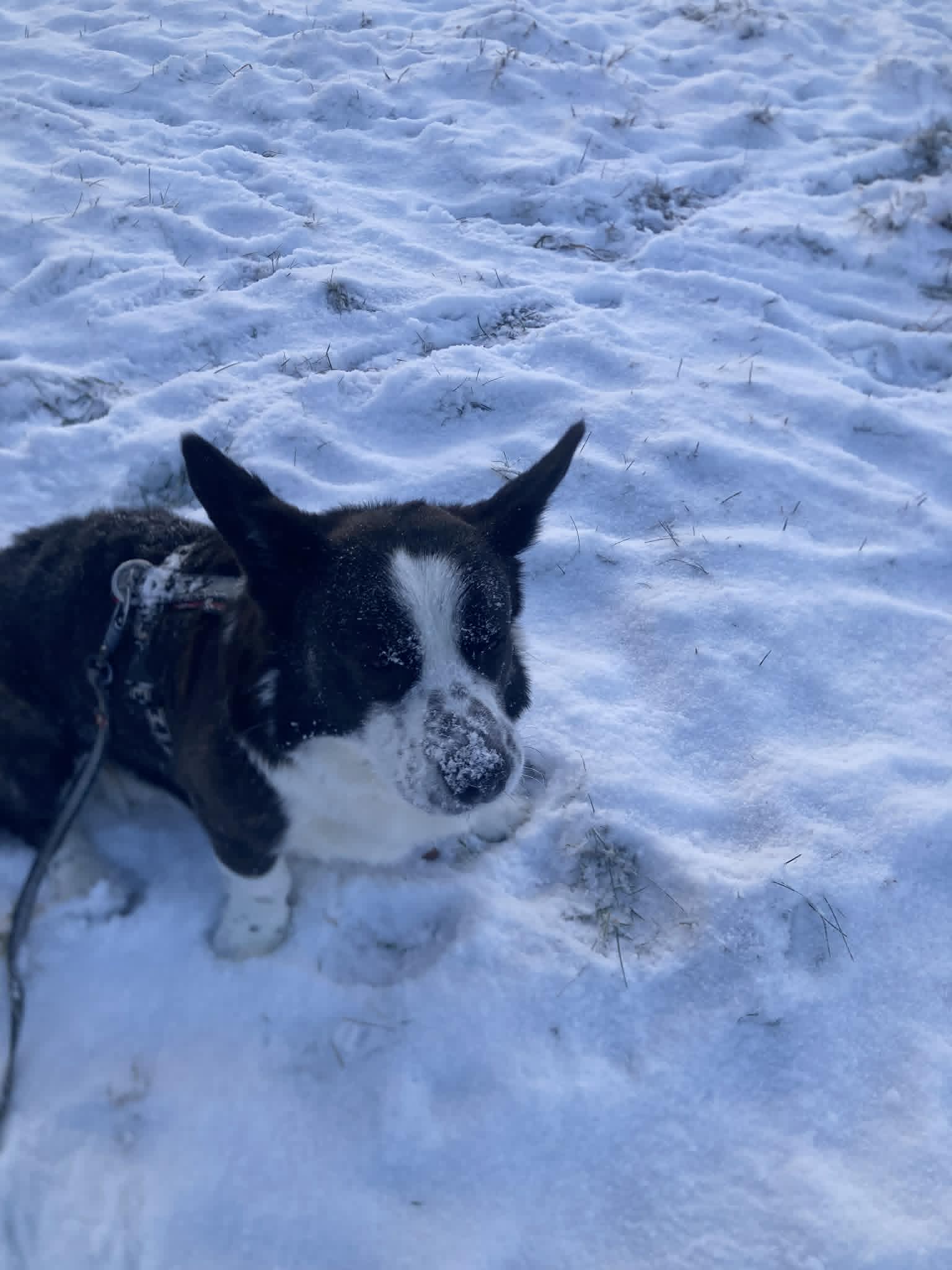 image-11