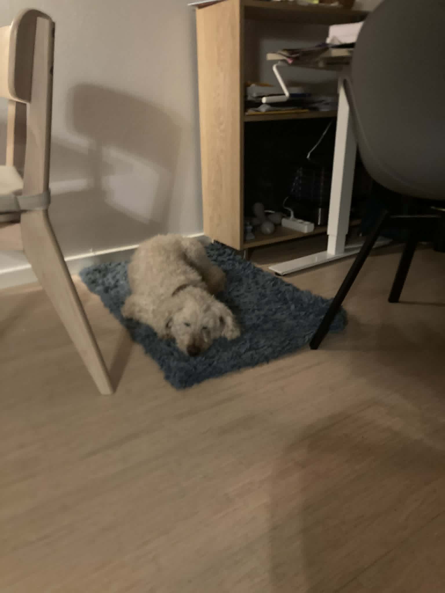 image-13