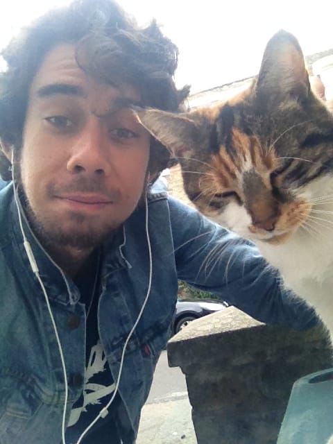 image-7