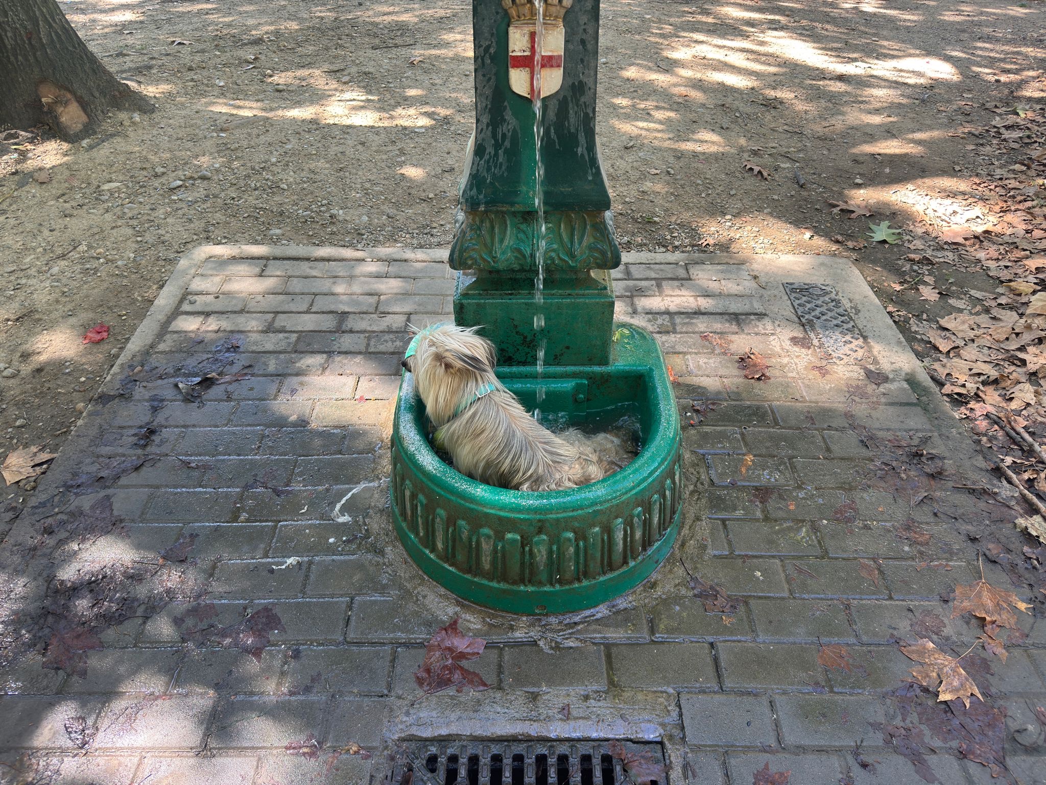 image-17