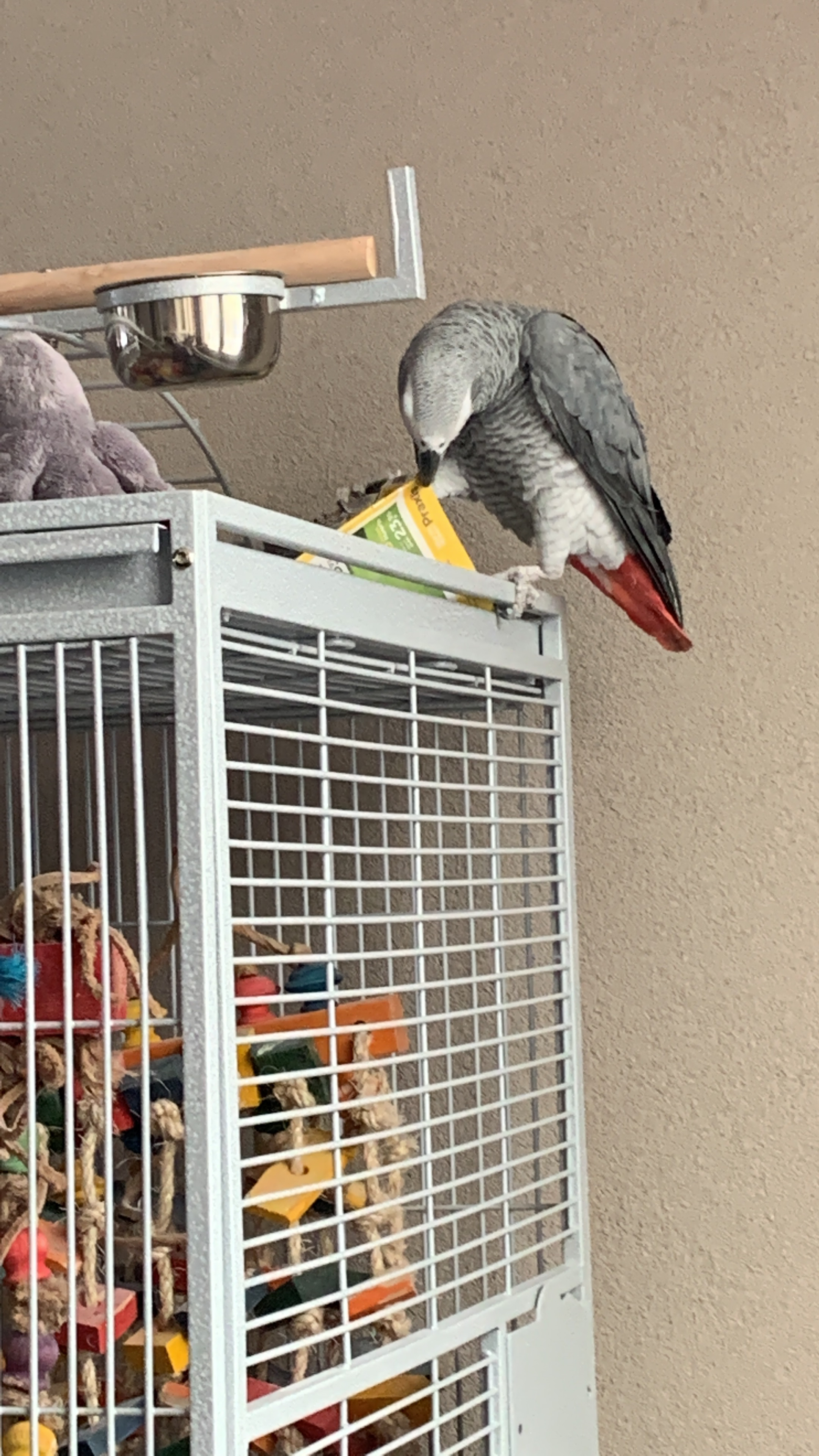 image-16