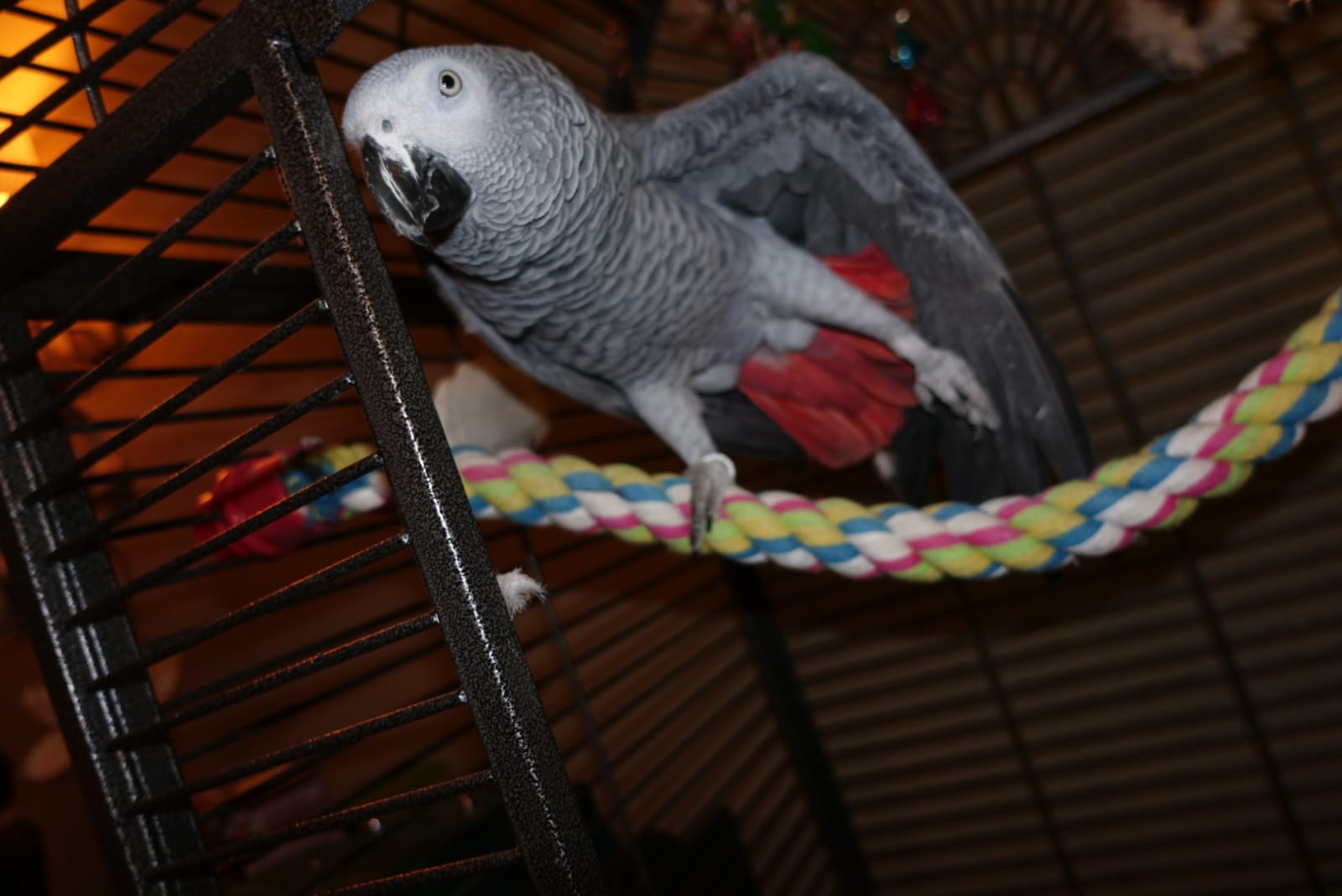 image-9