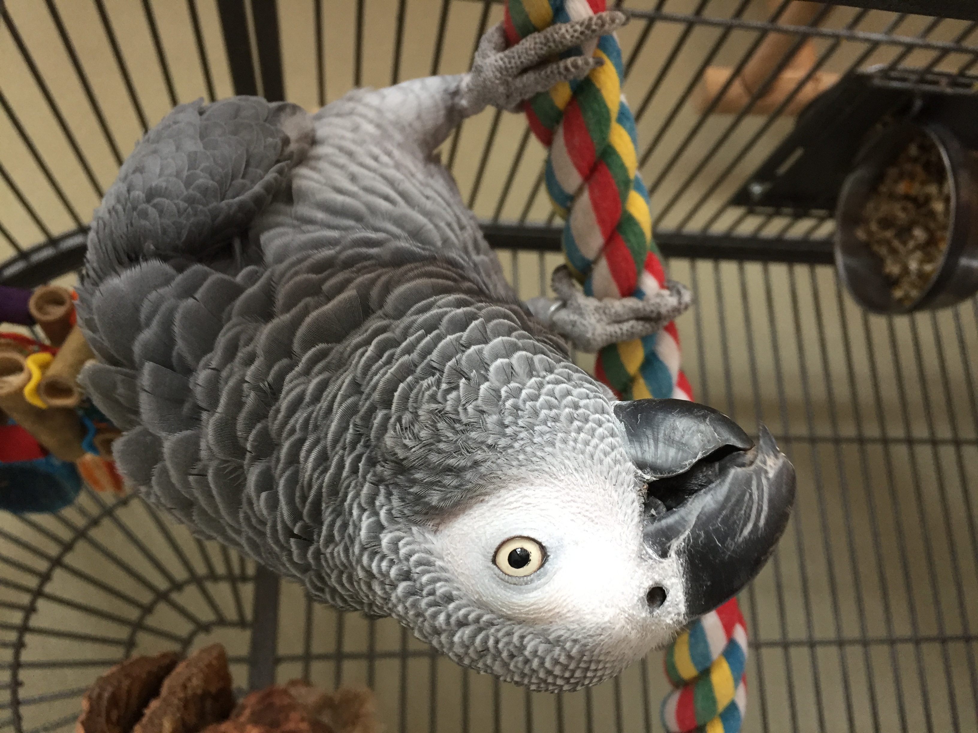 image-10