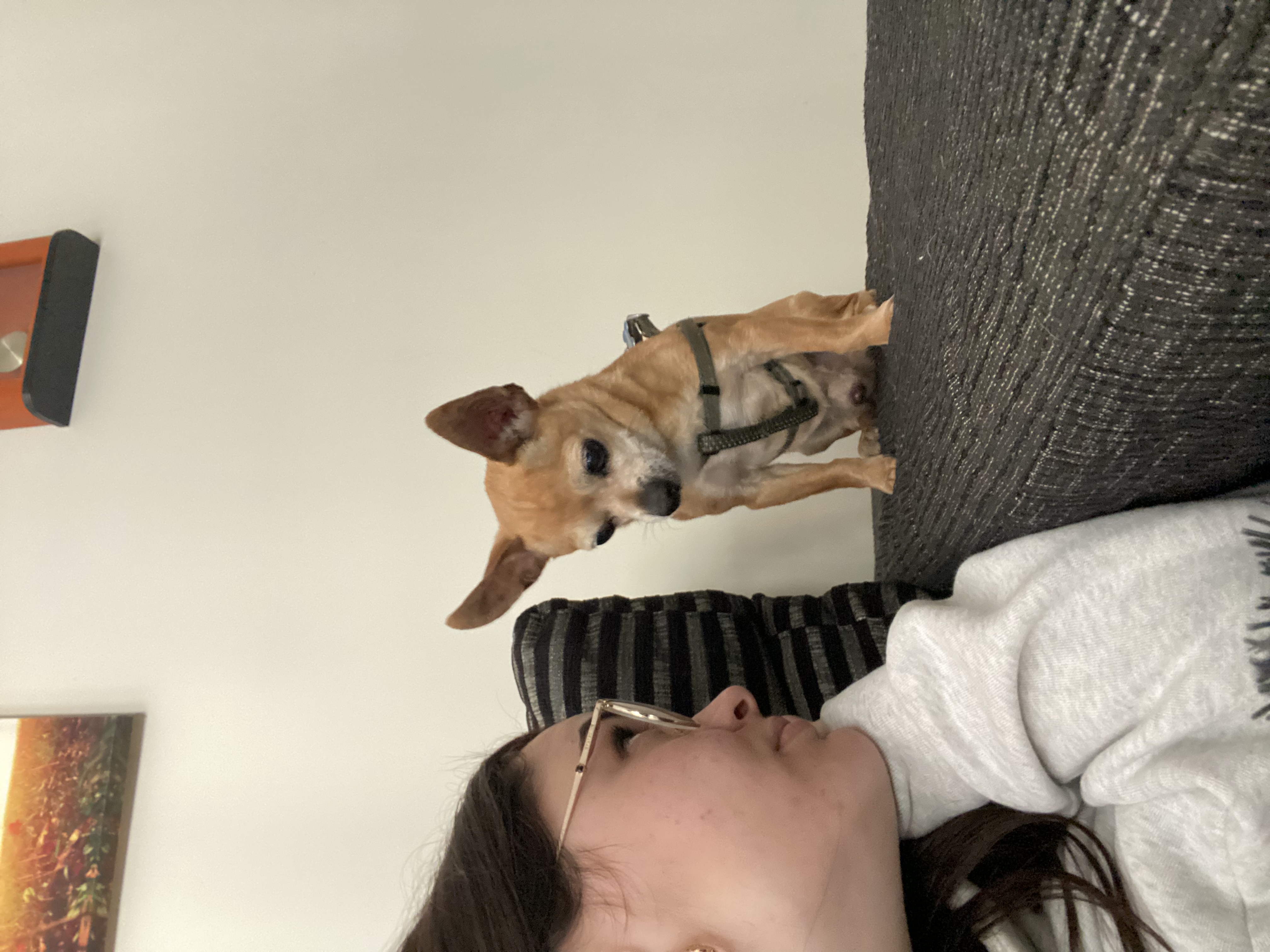 image-5
