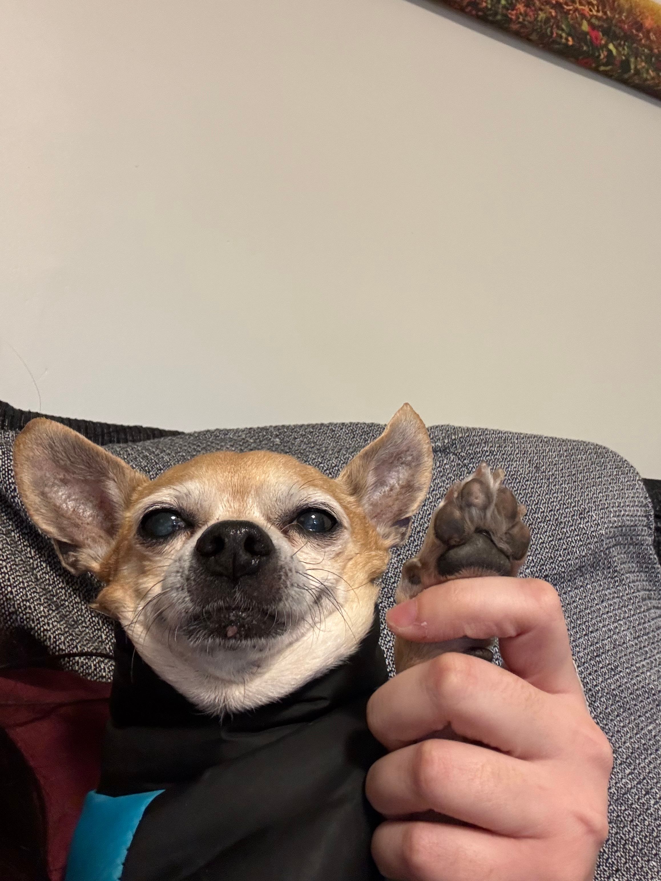 image-10