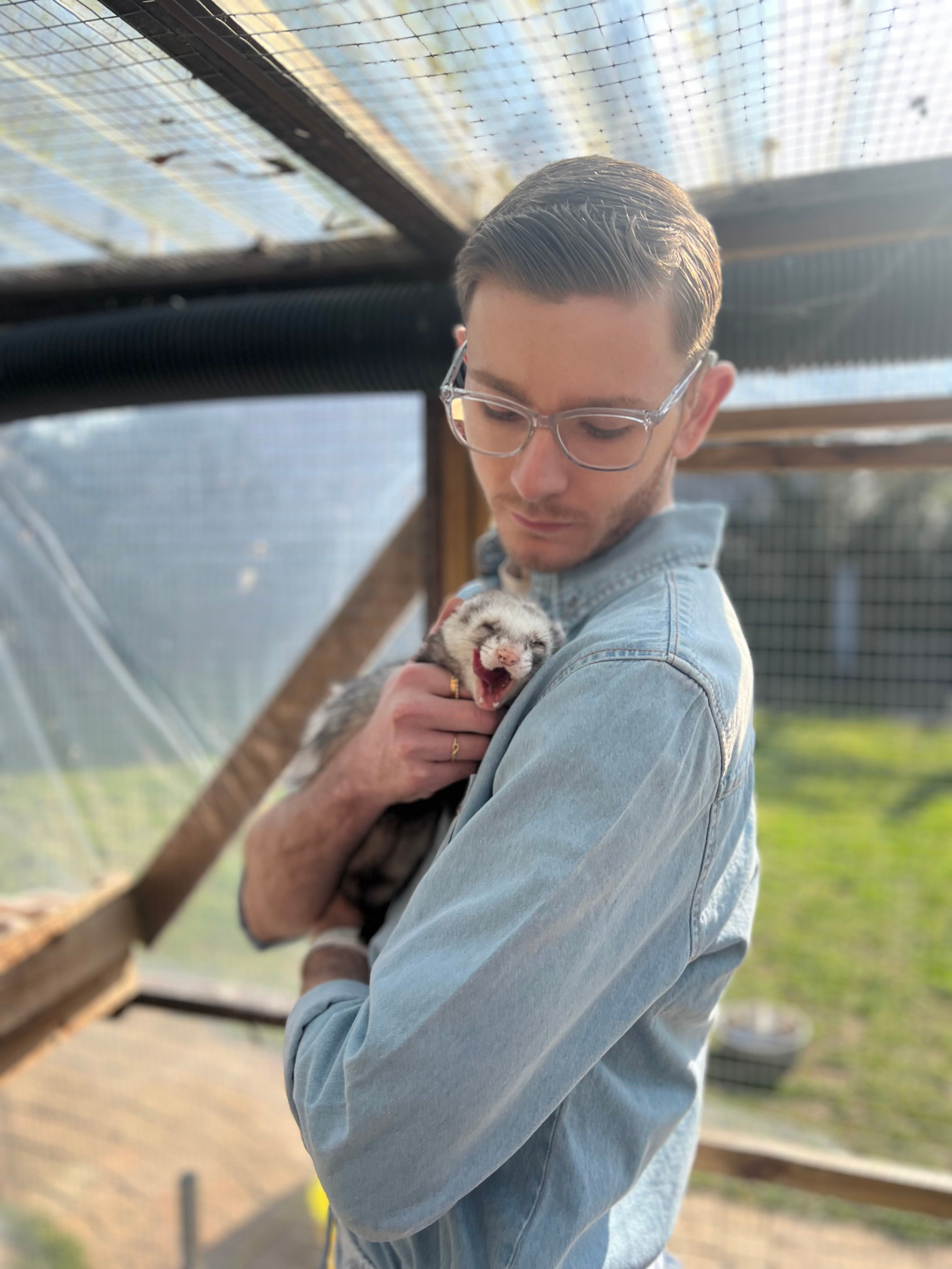 image-8