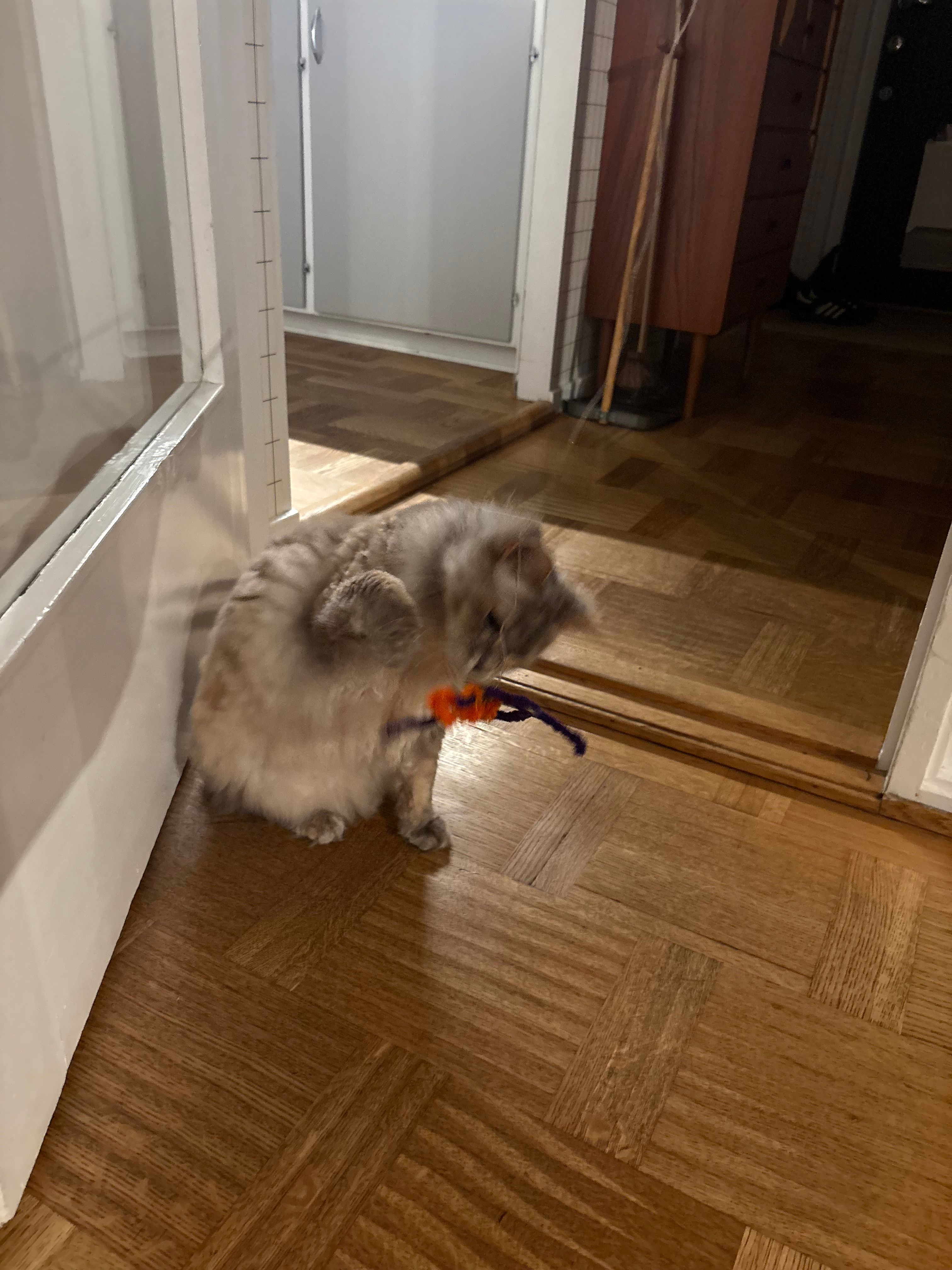 image-16