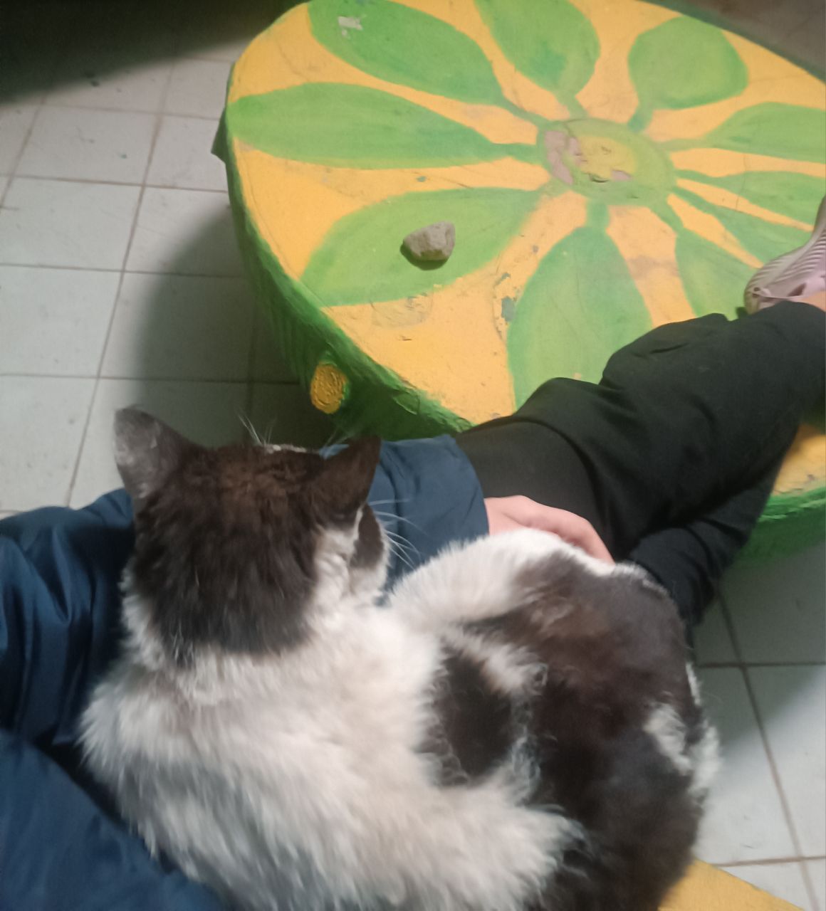image-6