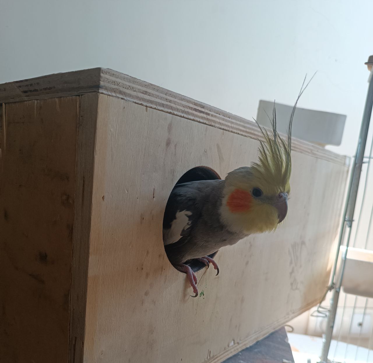 image-18