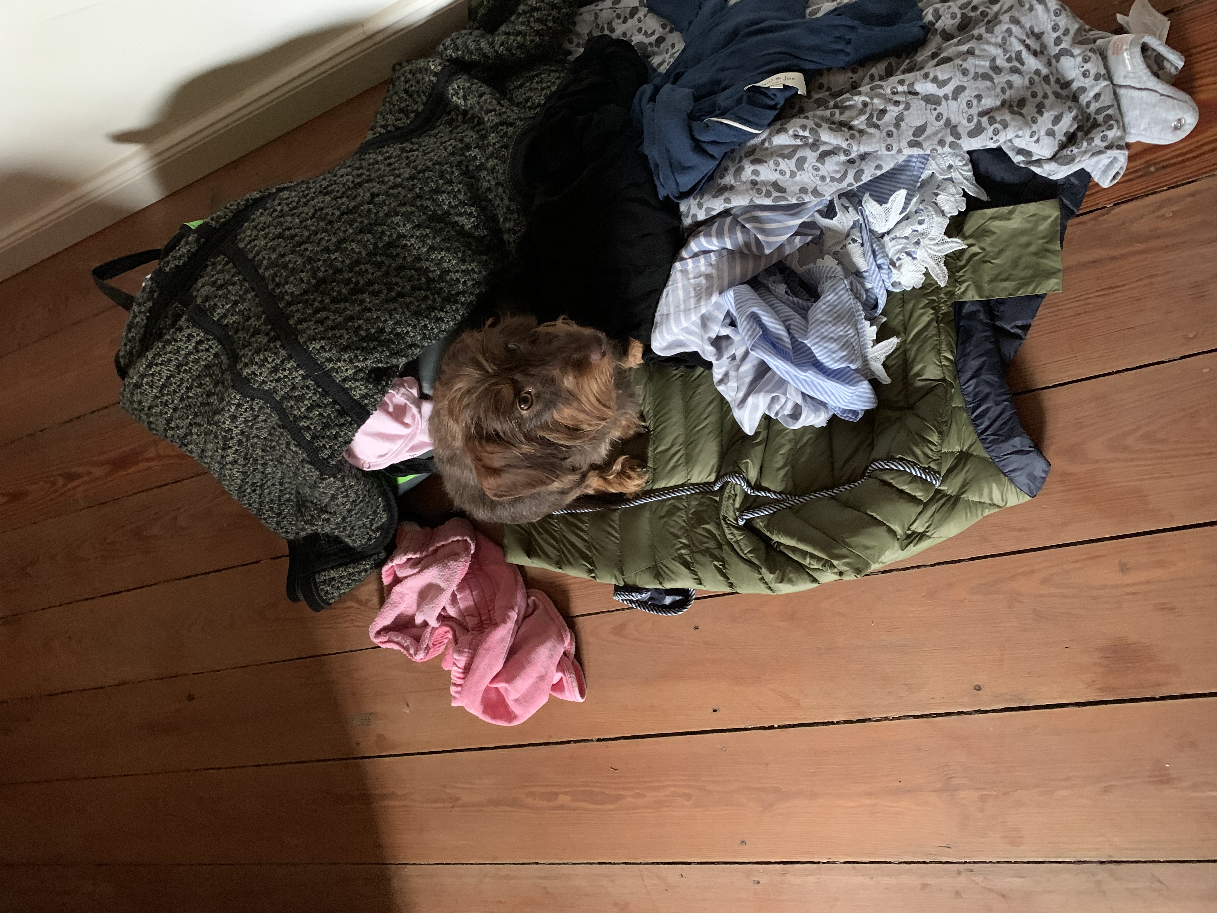 image-7