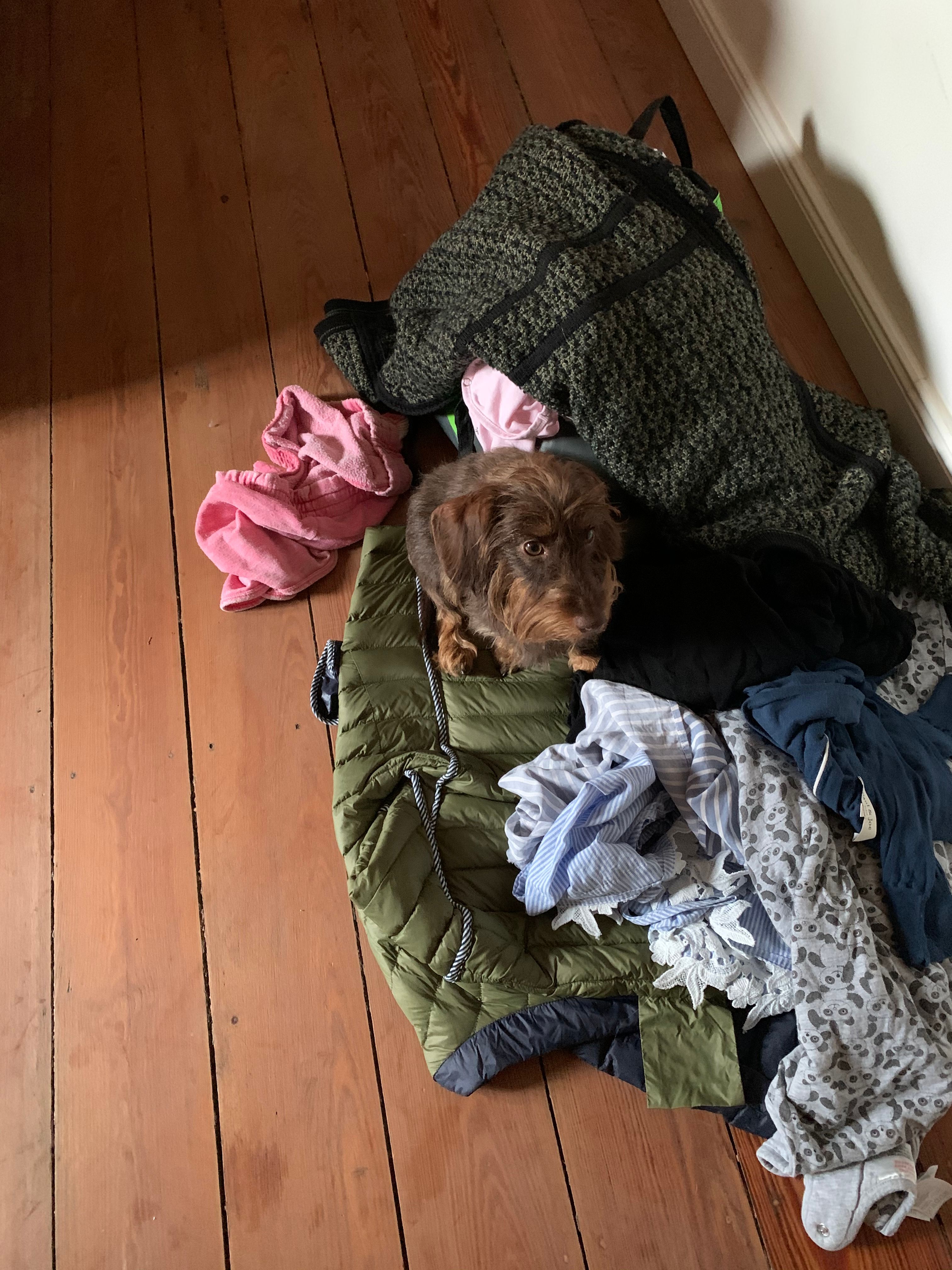 image-7