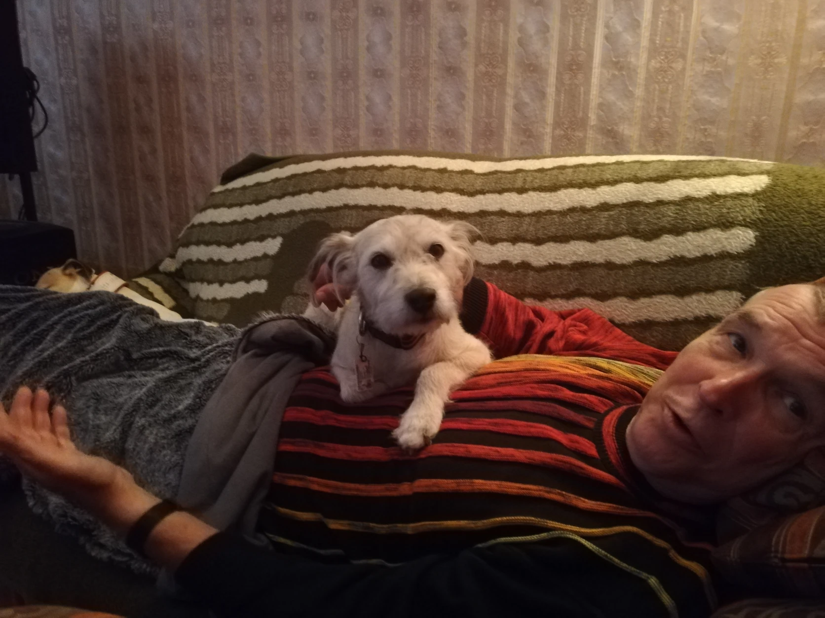 image-12