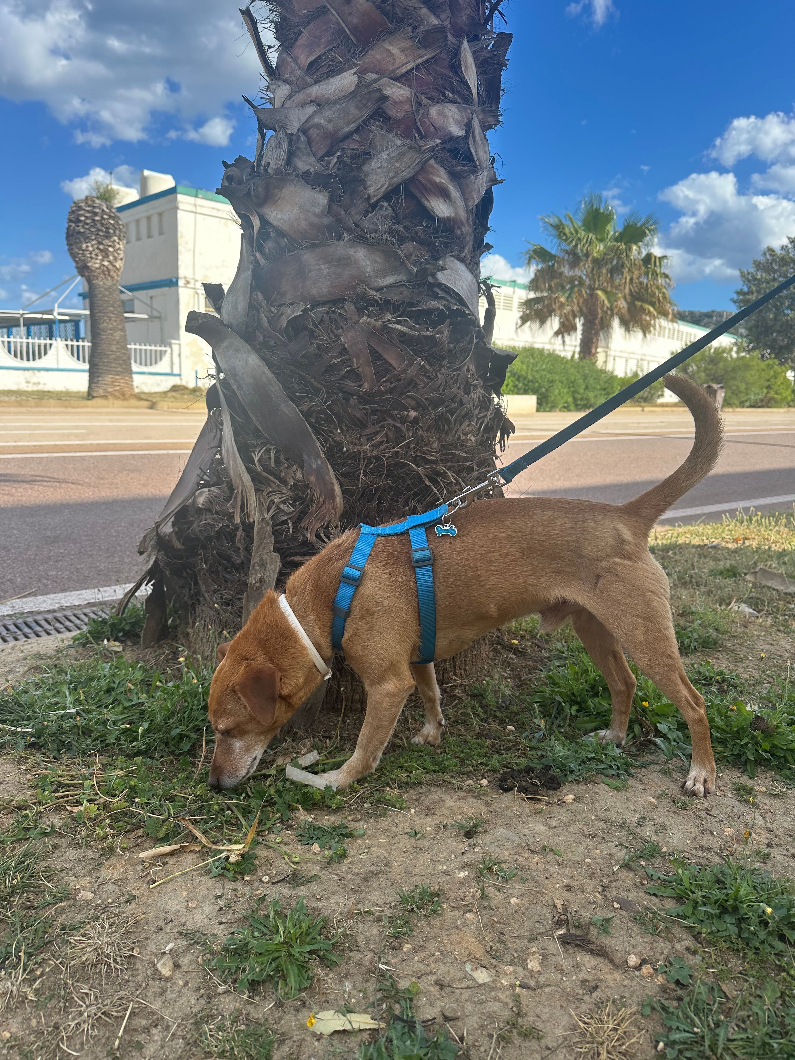image-6