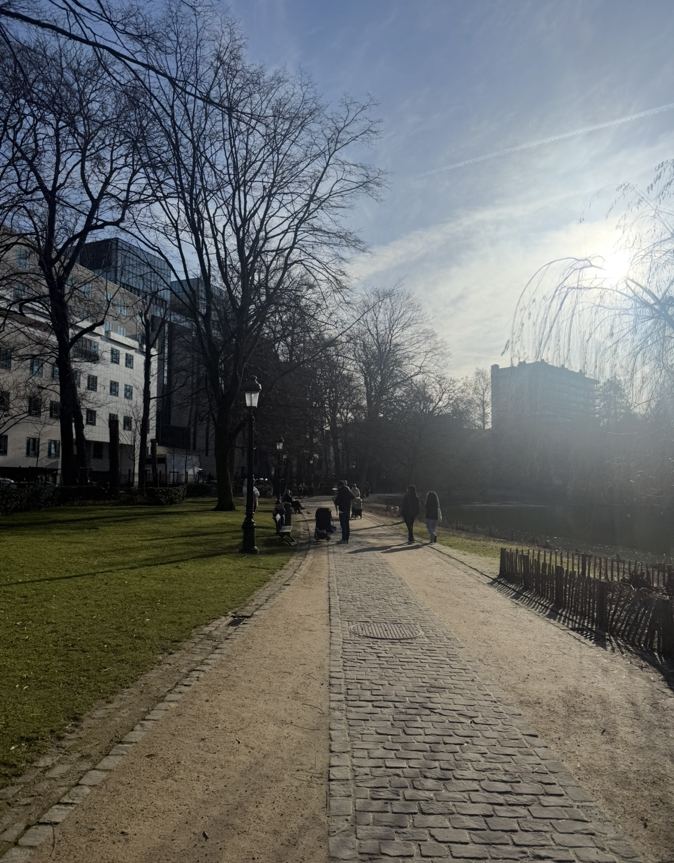 image-15