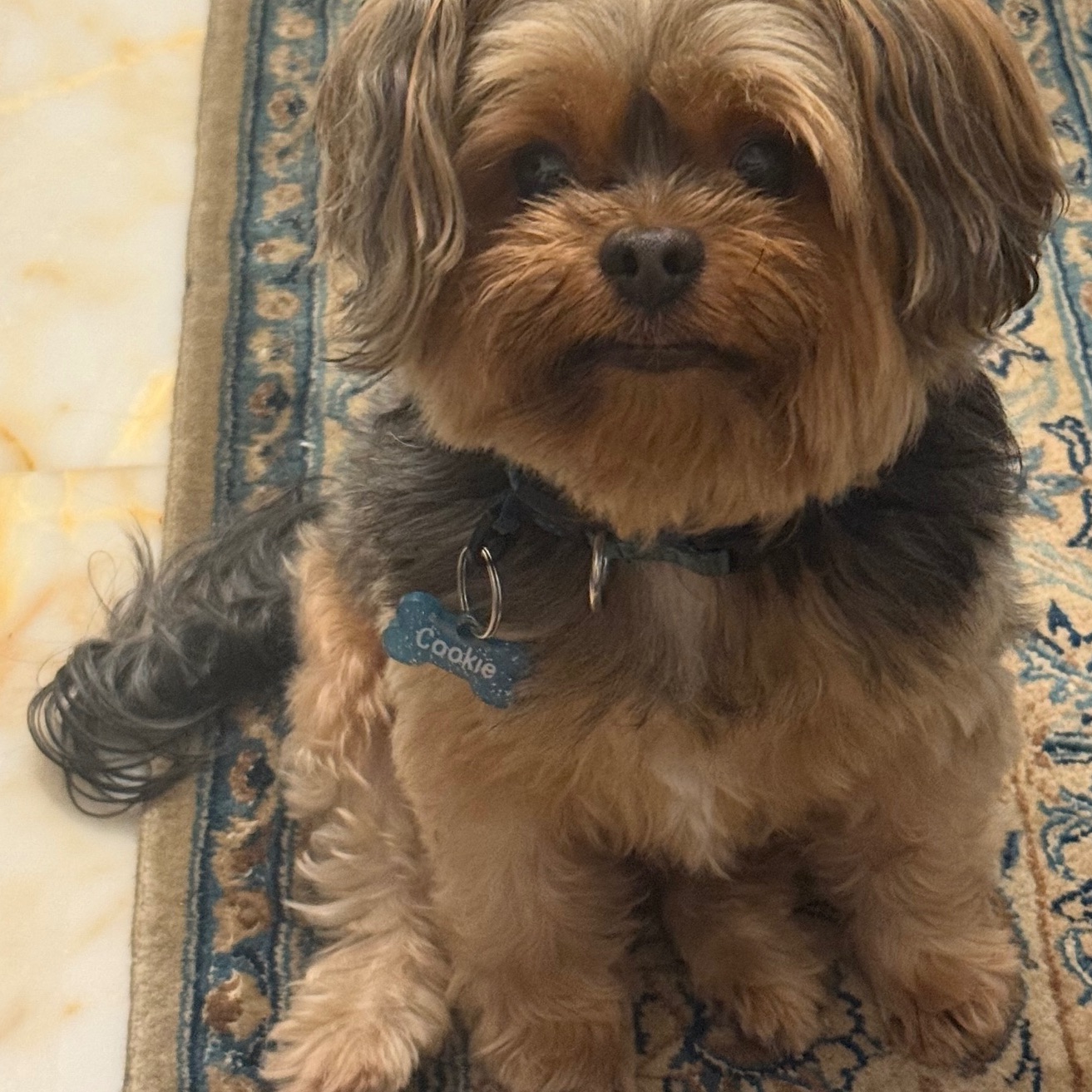 Cookie