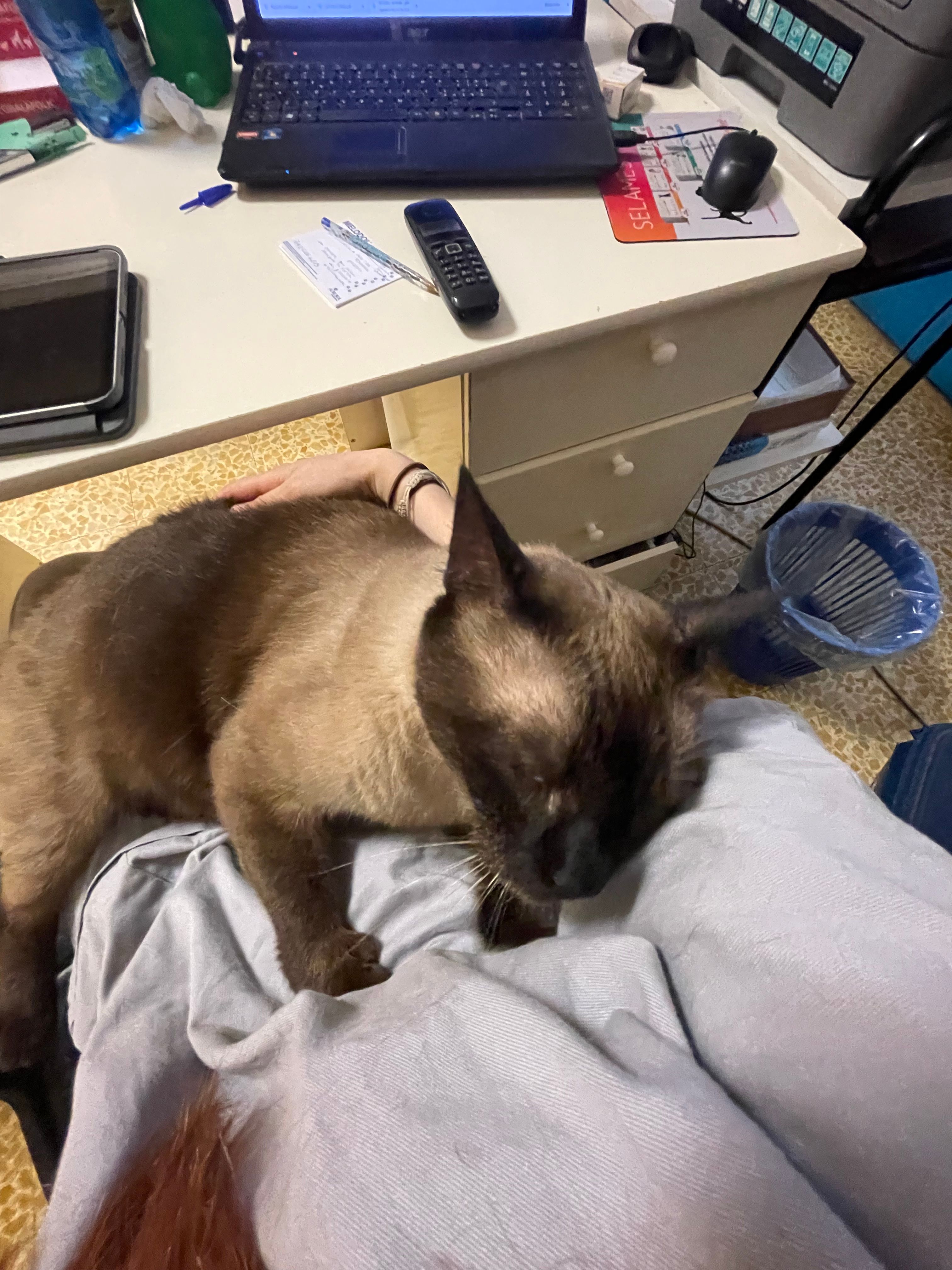 image-6