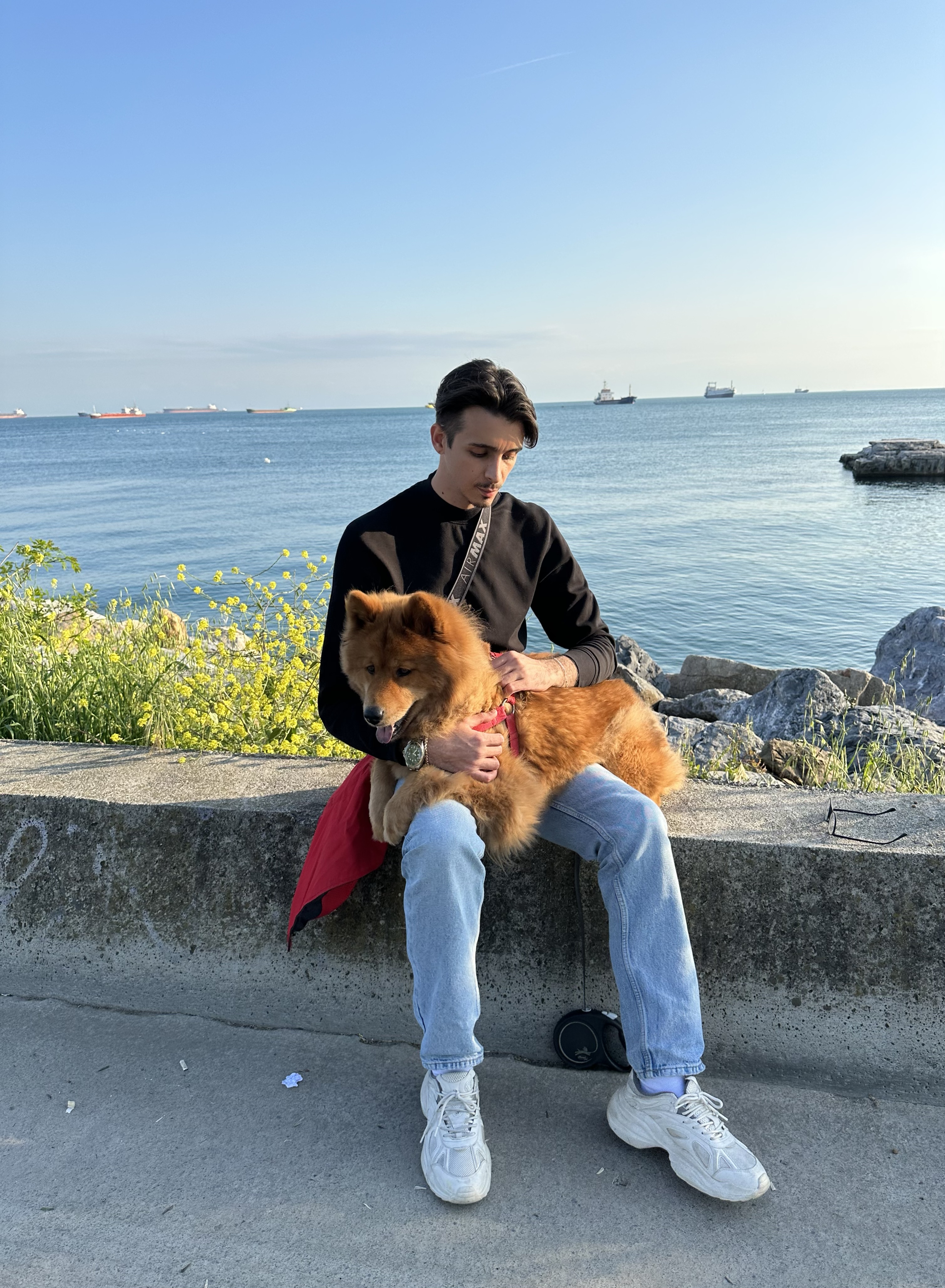 image-6