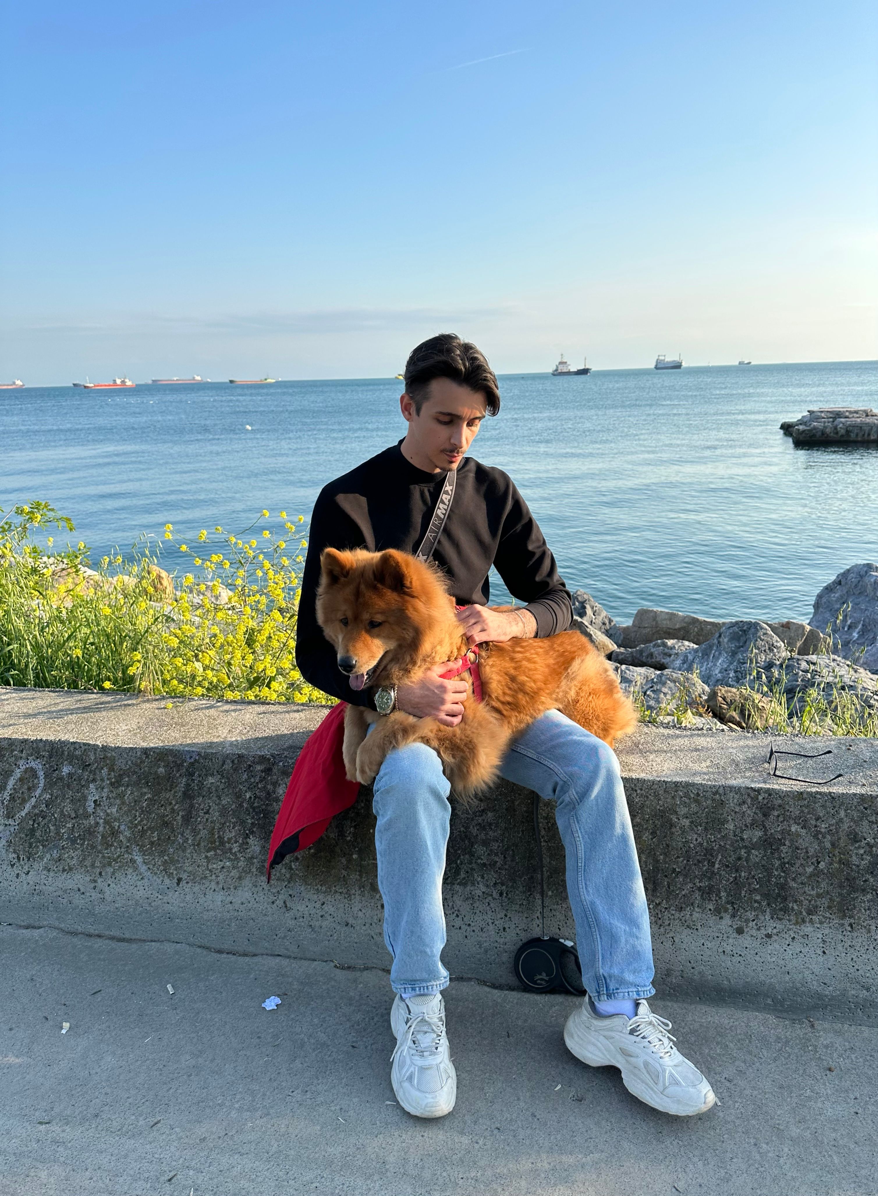image-6