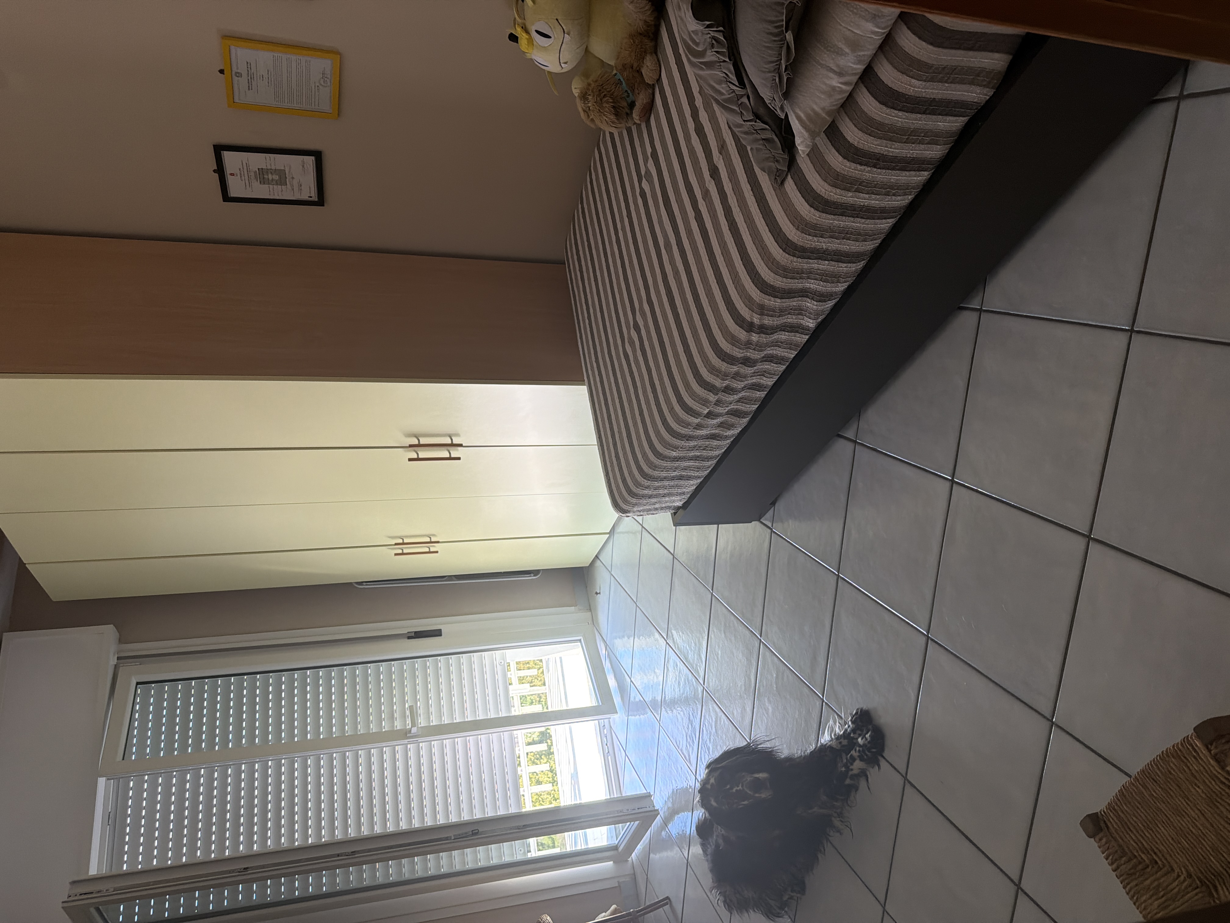 image-8