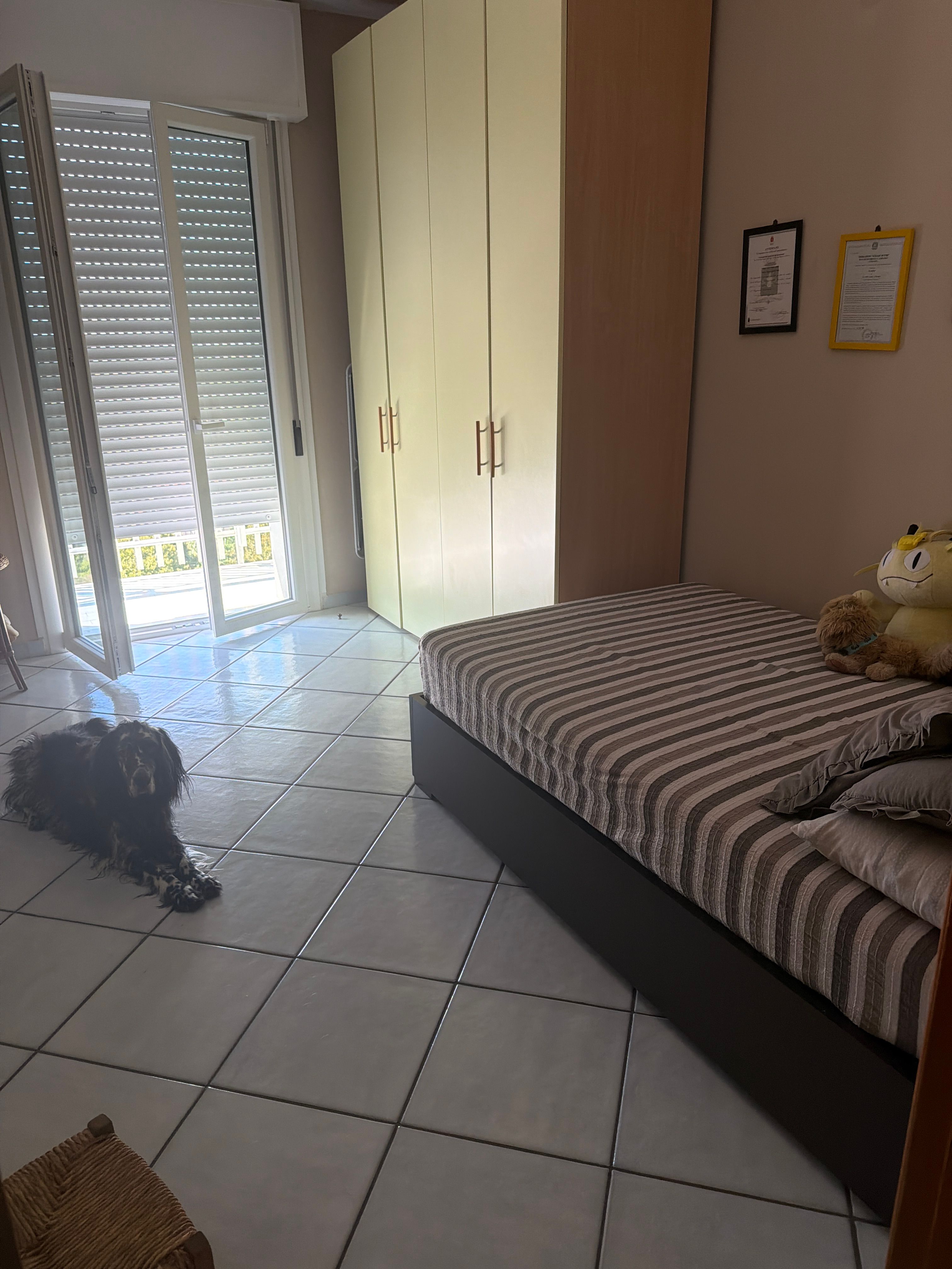 image-8