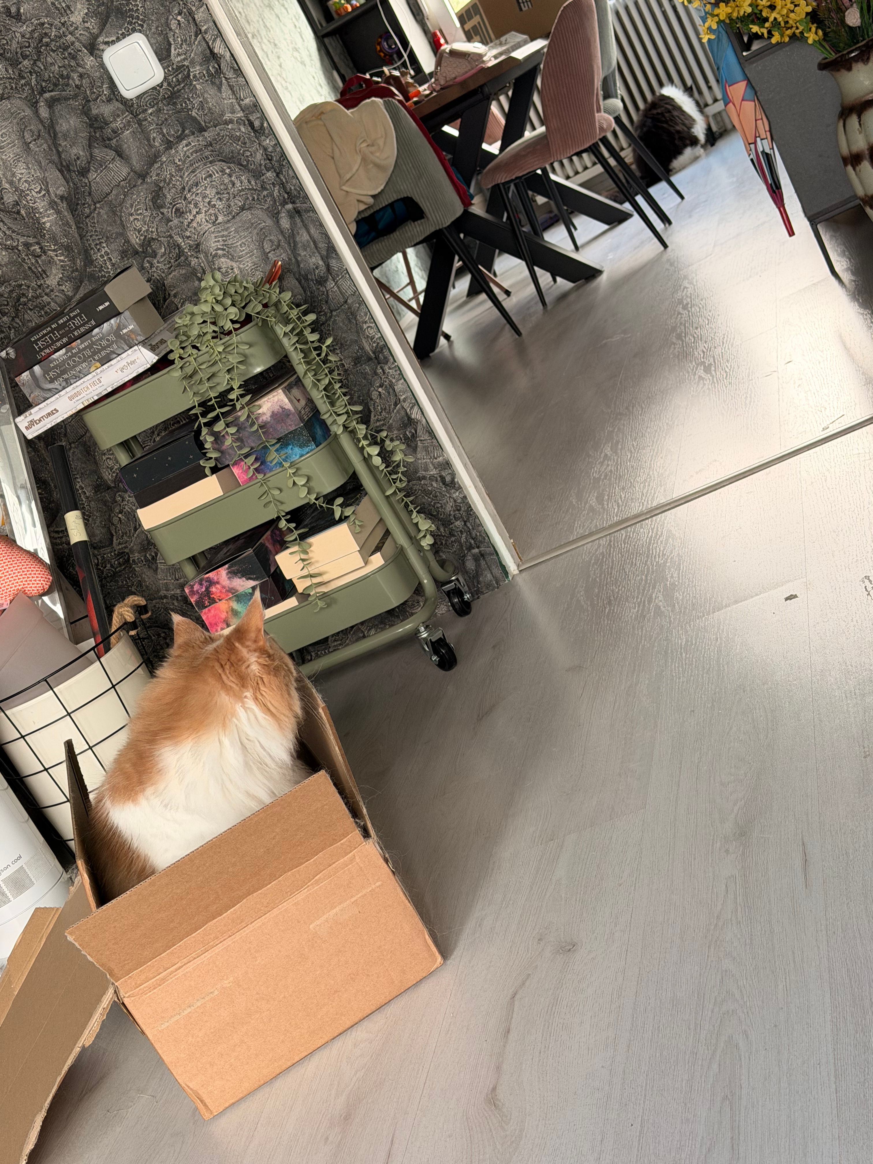 image-17