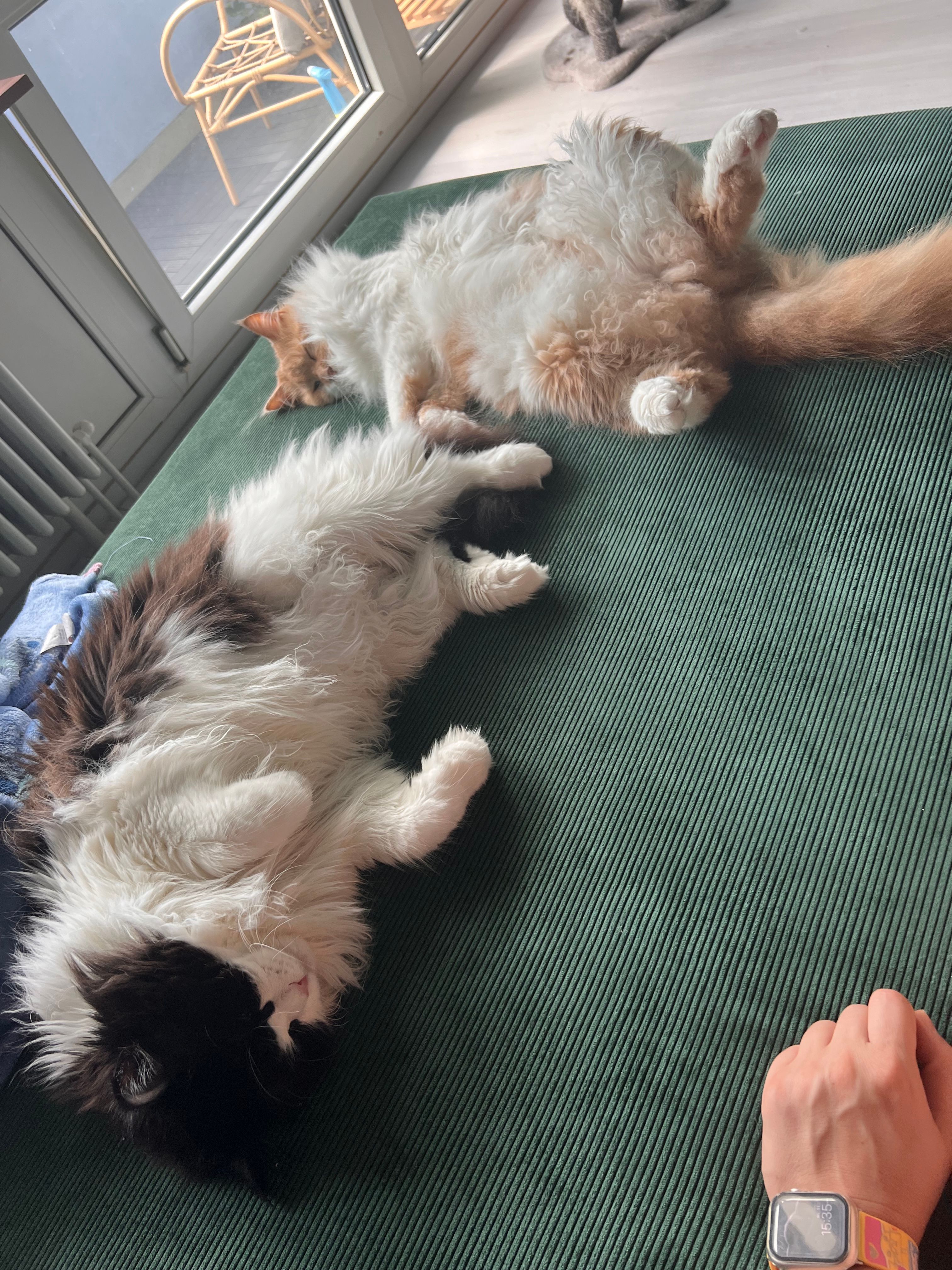 image-8