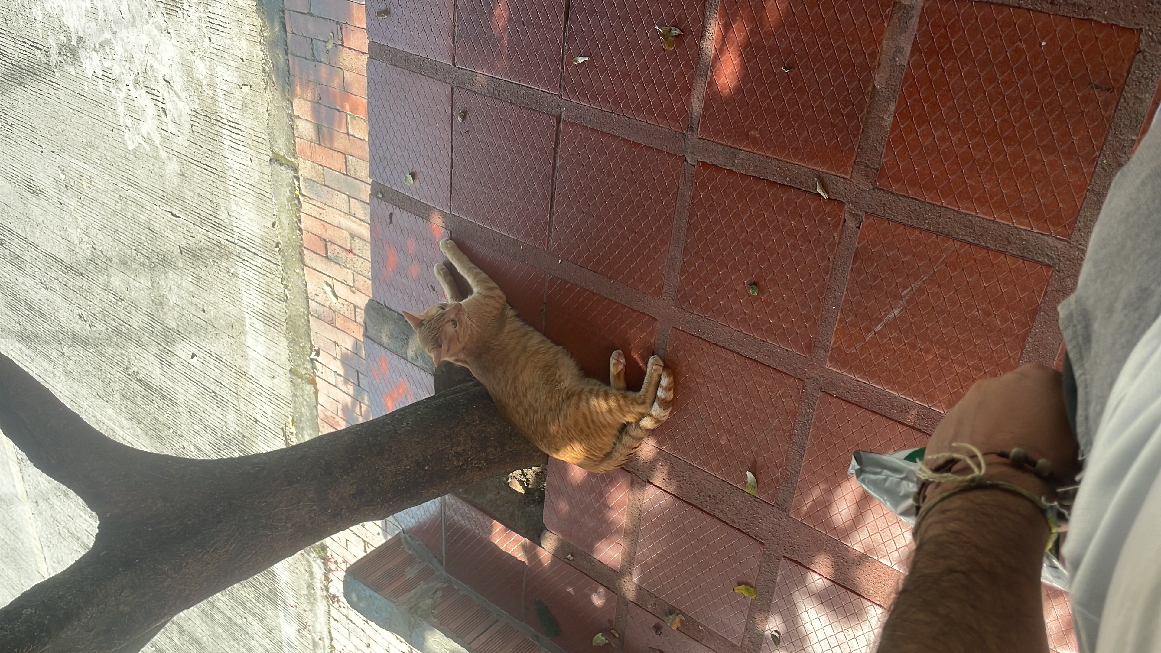 image-7