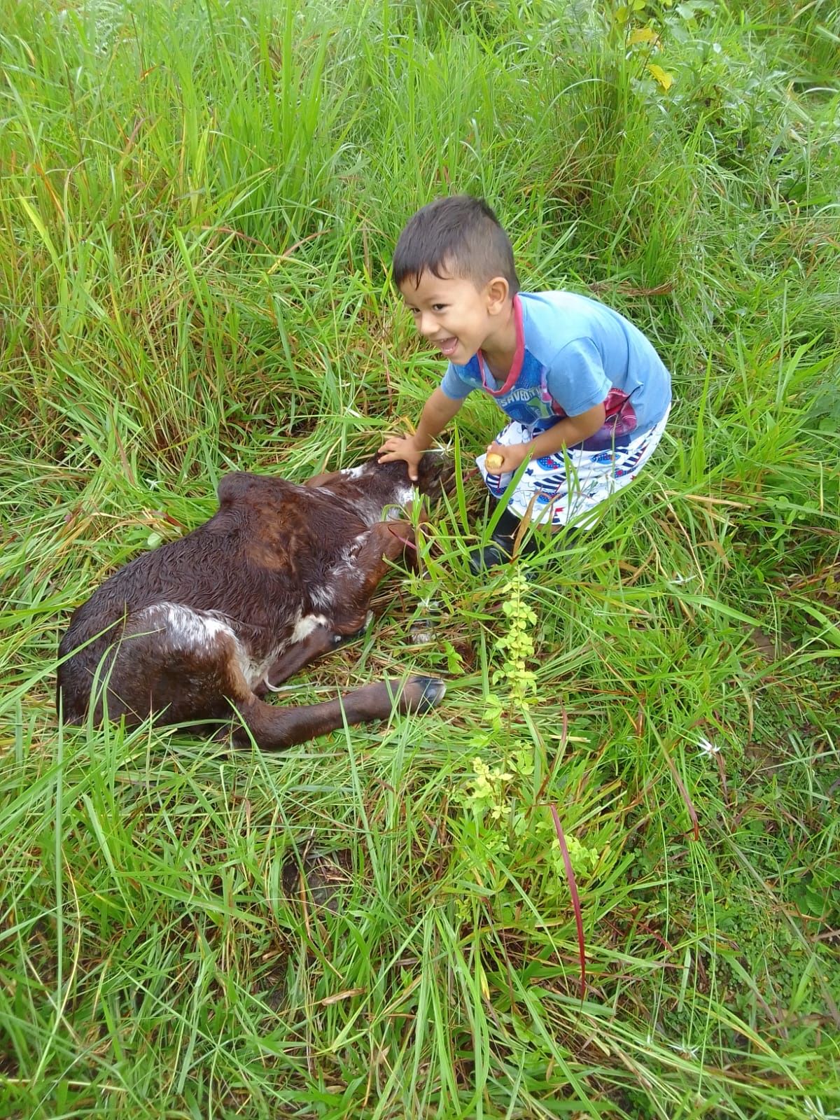 image-9