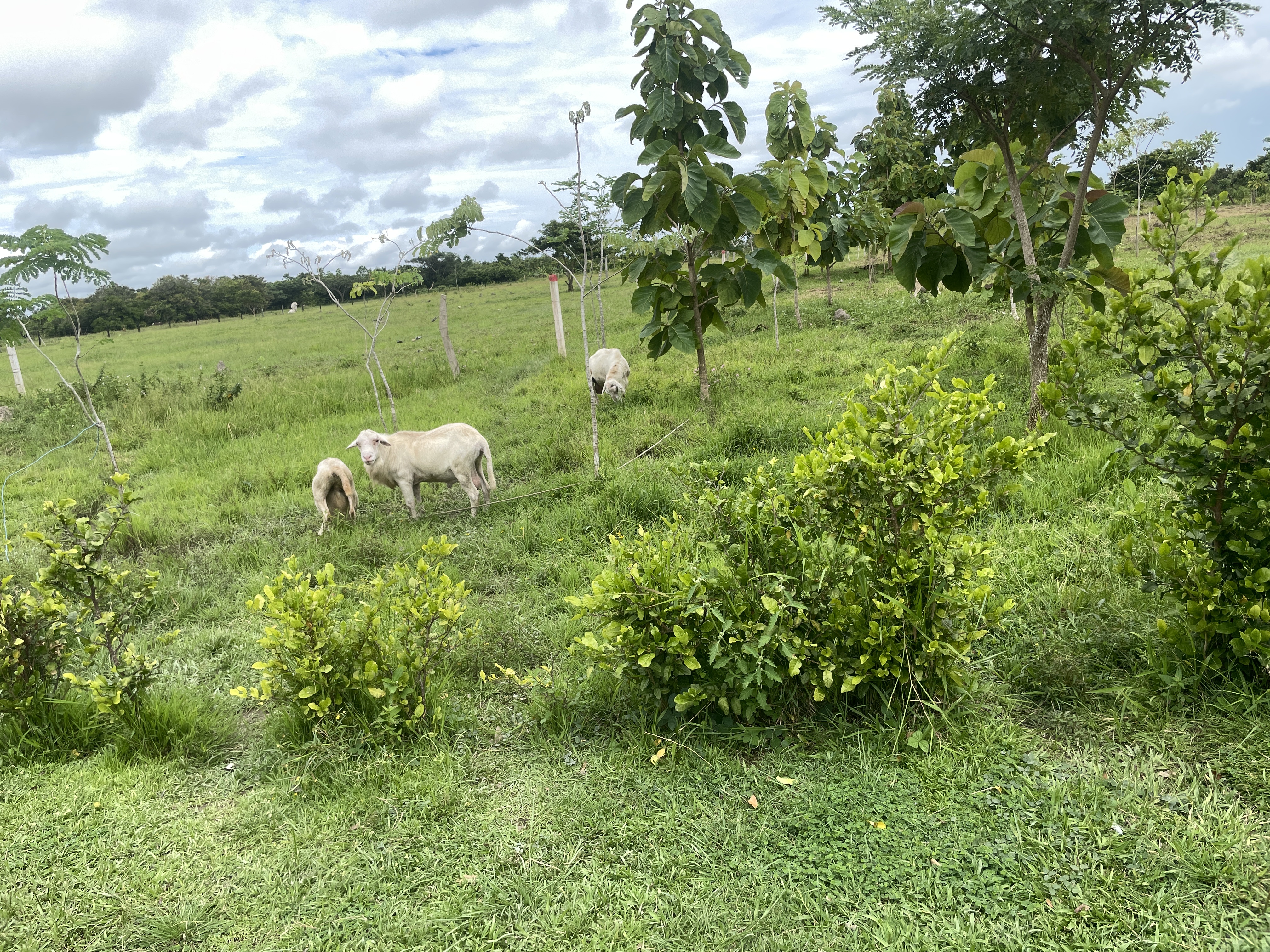 image-10