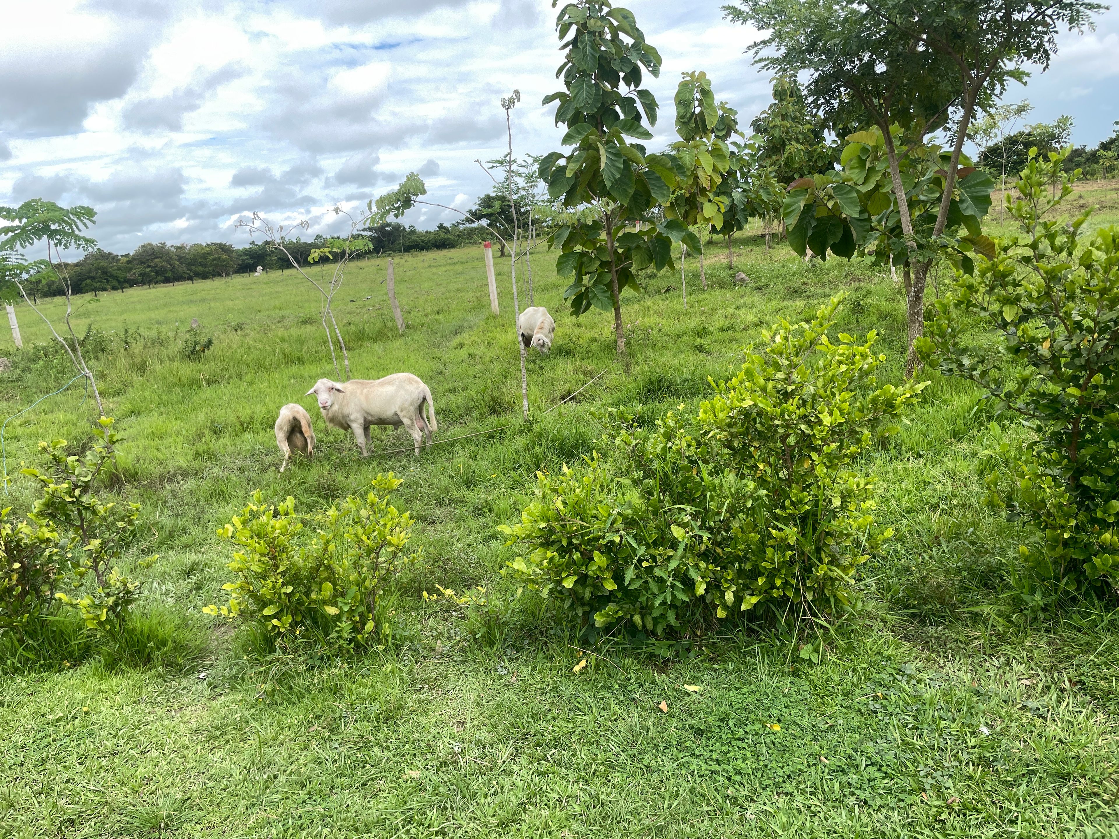 image-10