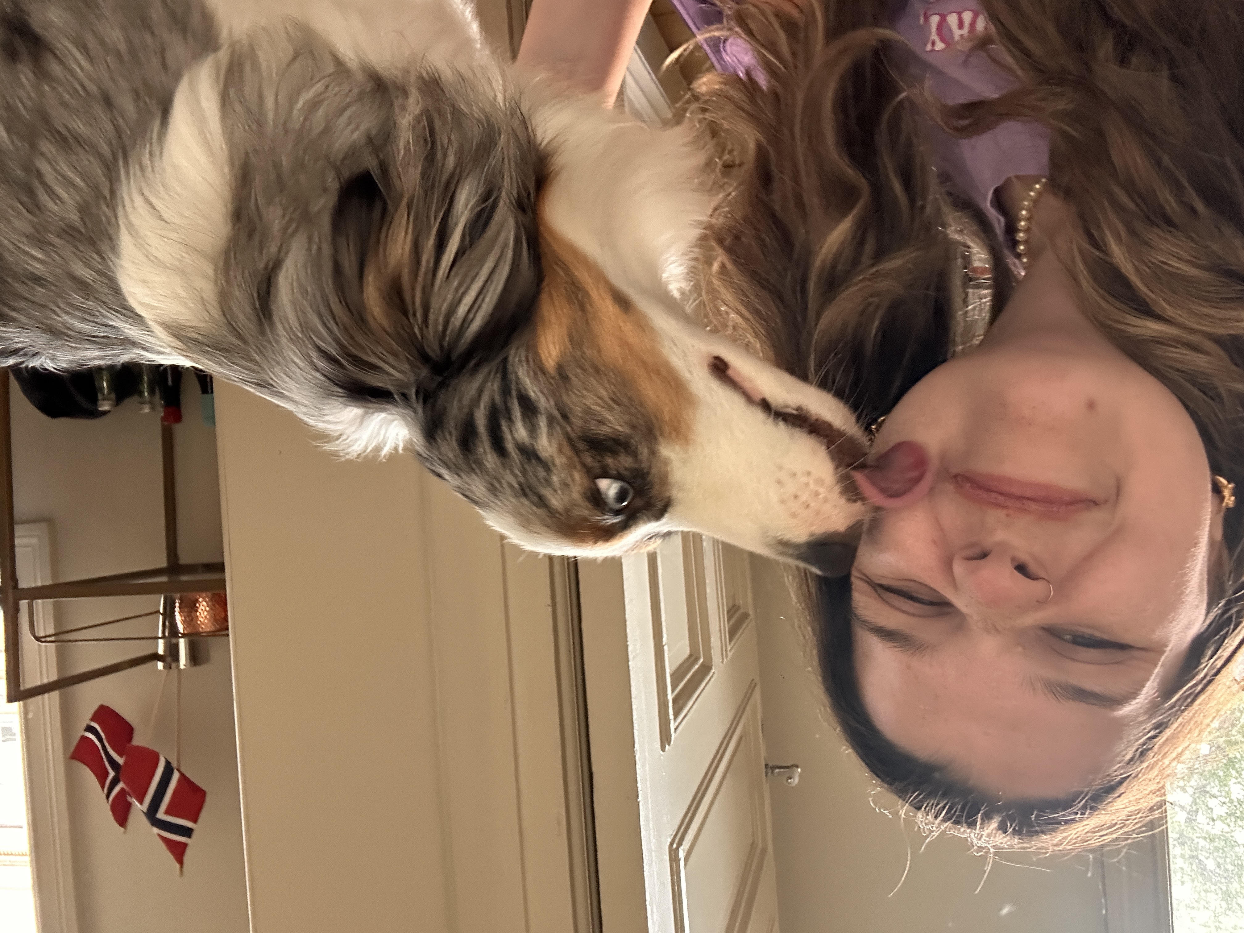 image-6