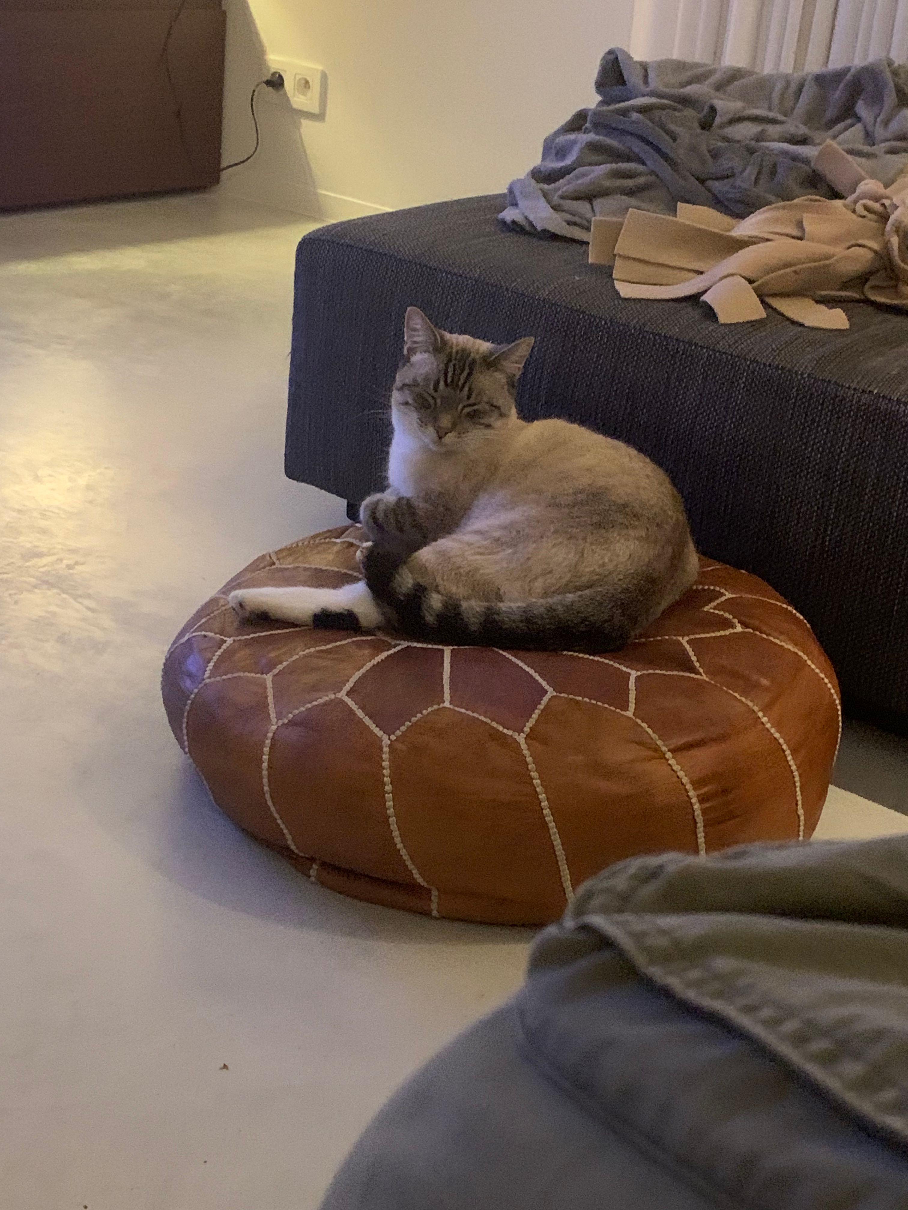 image-12