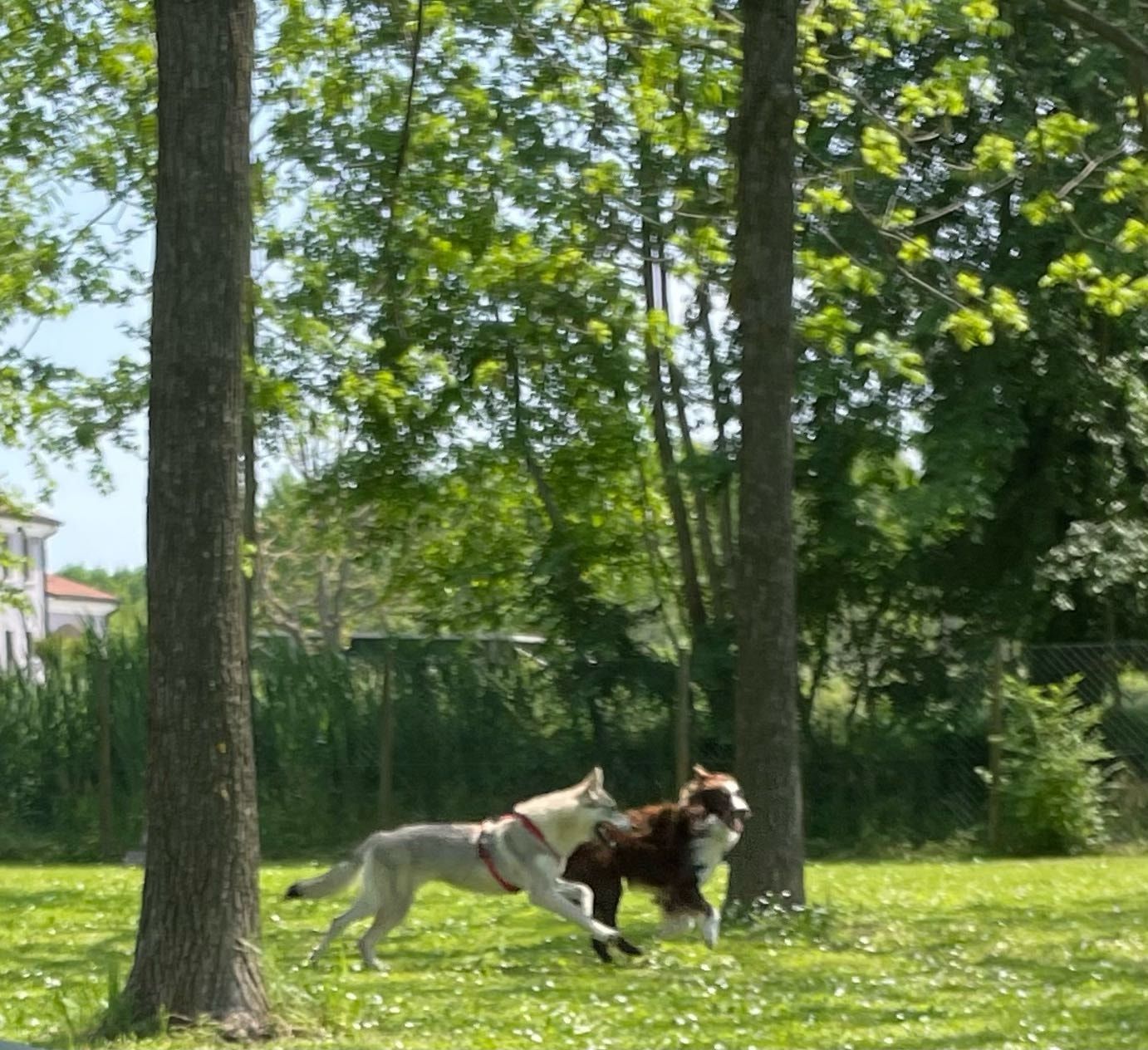 image-3