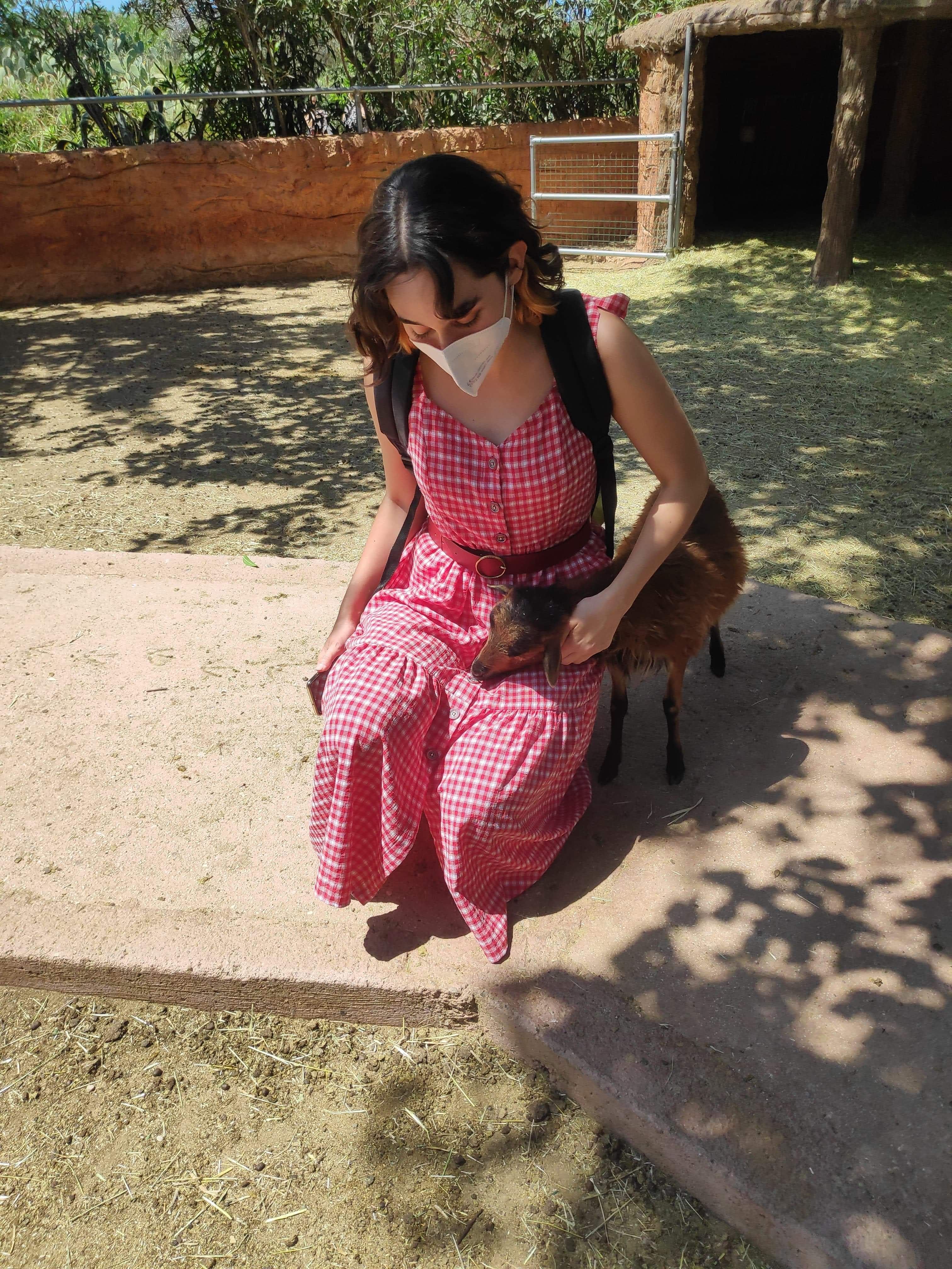 image-4