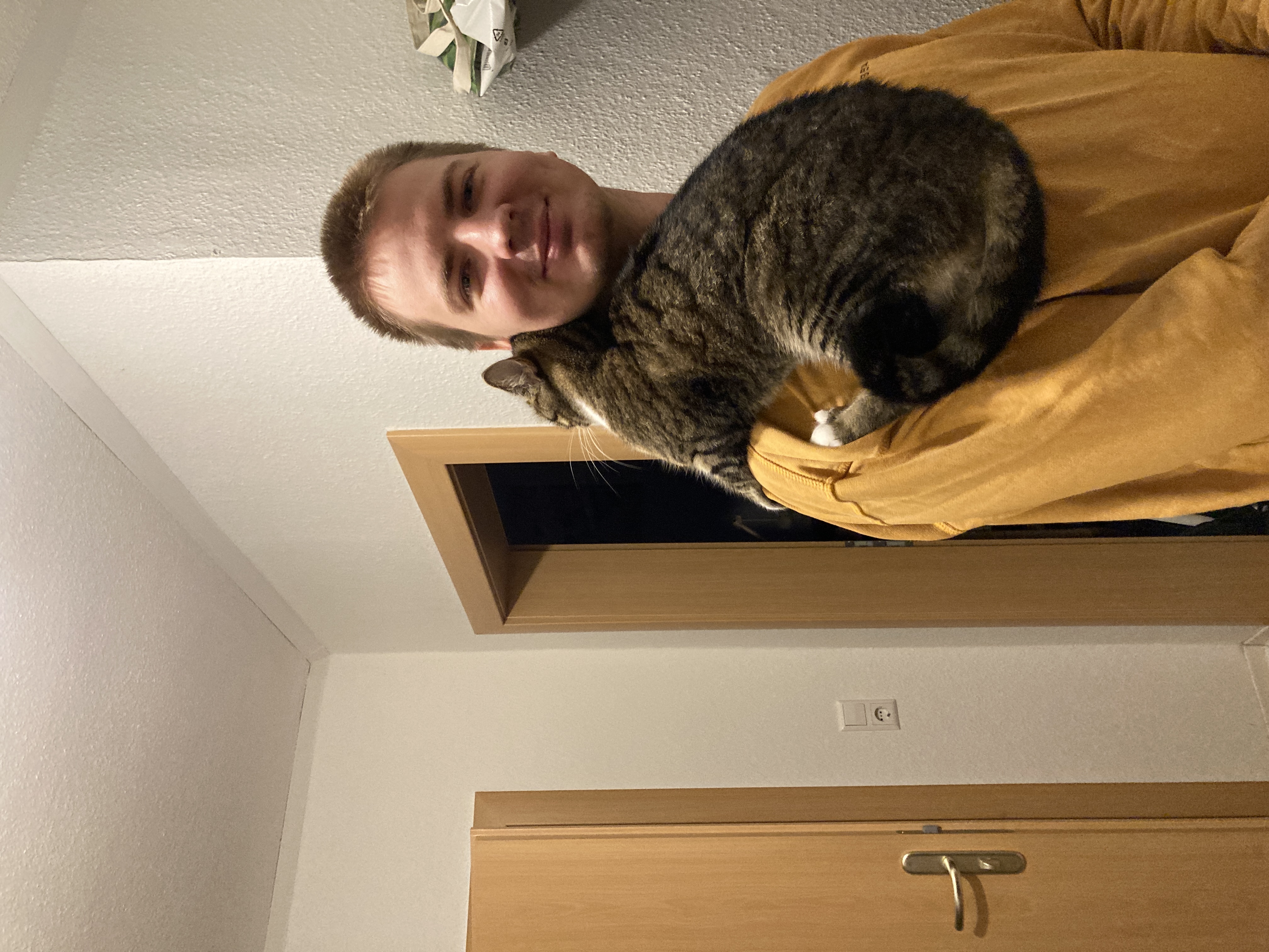 image-6